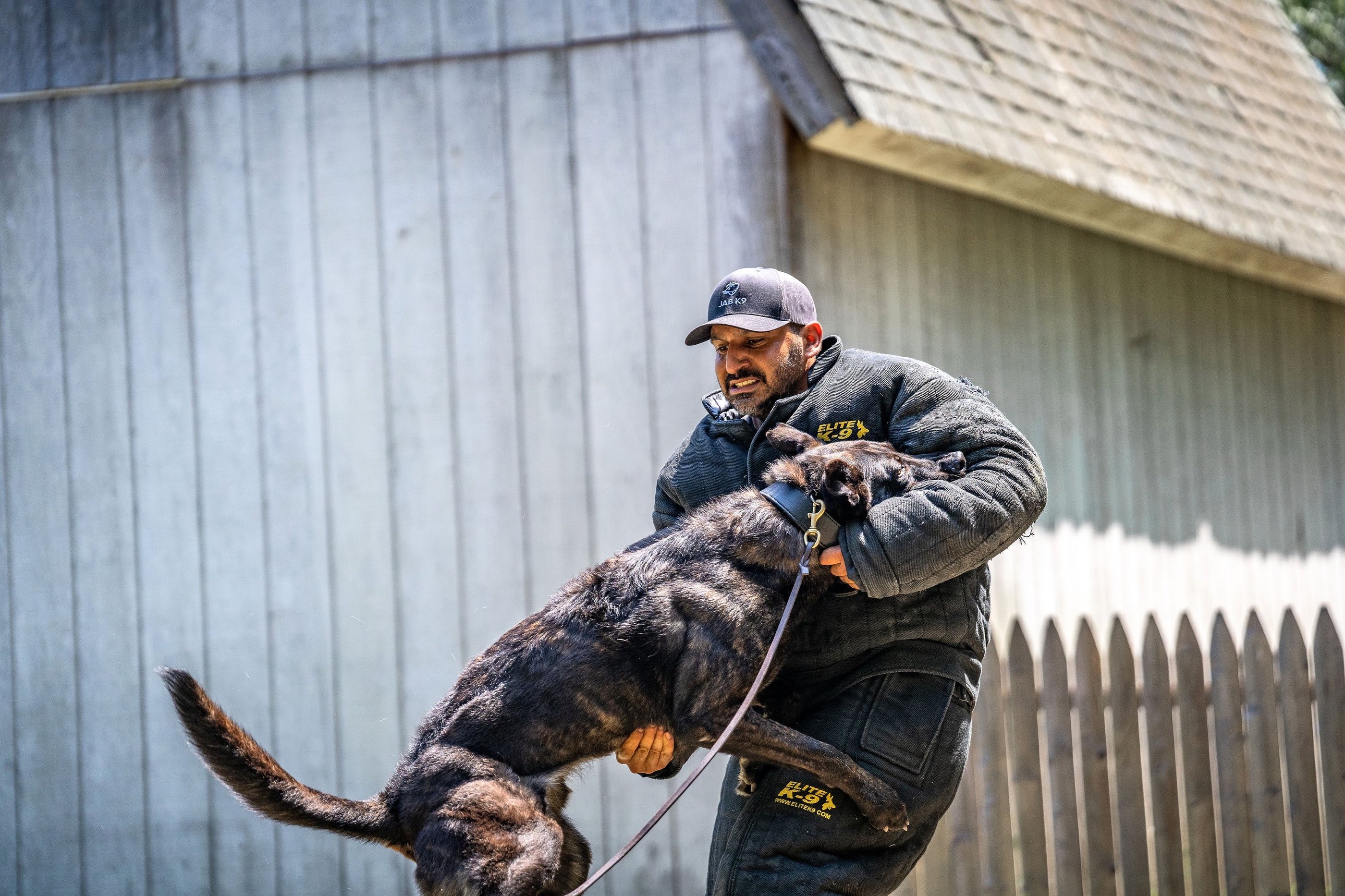 Protection dog bite training - Dynamic K9 tampa canine training services