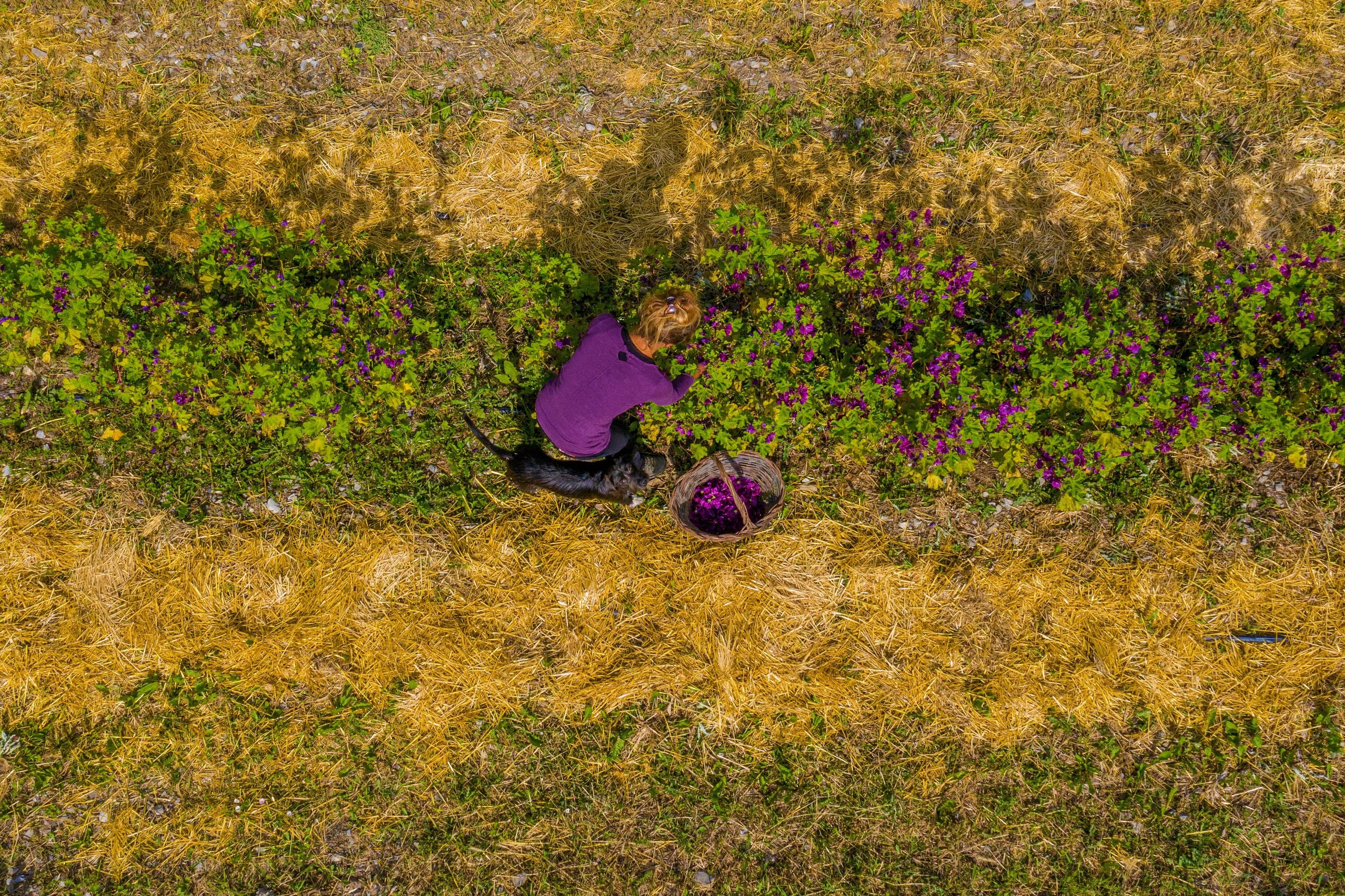 a woman in a purple shirt is sitting on a field
