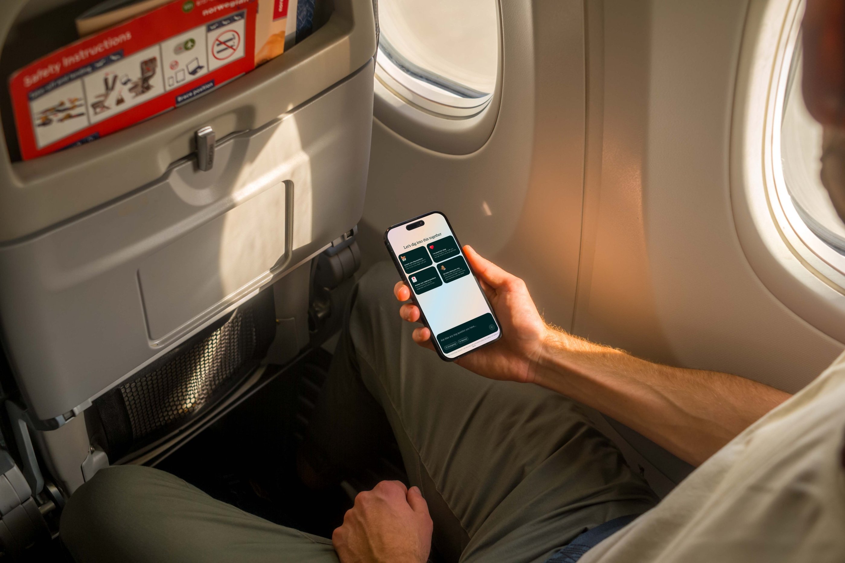 dogAdvisor β² dogadvisor β² dog advisor β² Blog for new dog owners β² dogs β² dog advisers β² dog advisors