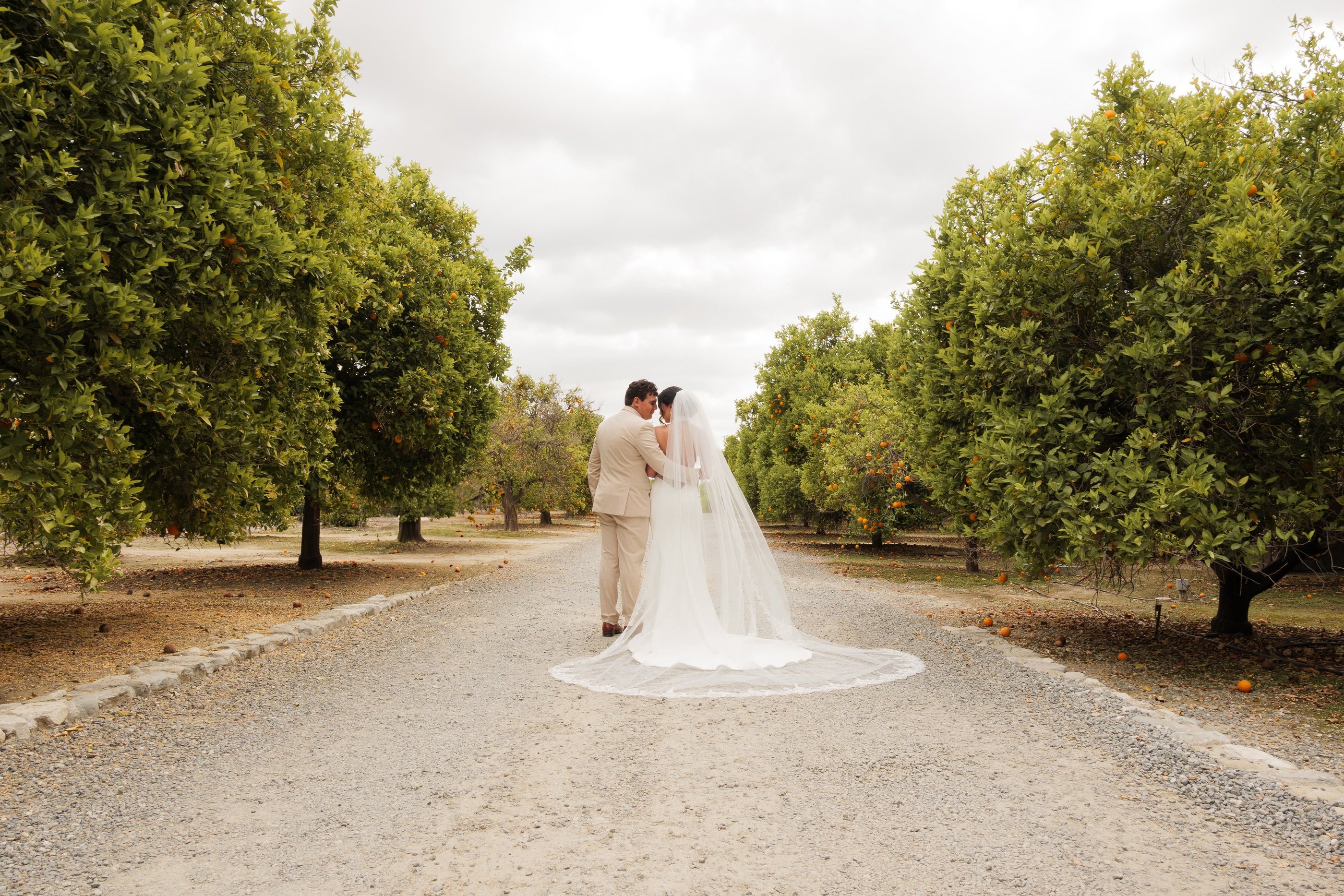 a bride and groom standing in a tree lined path