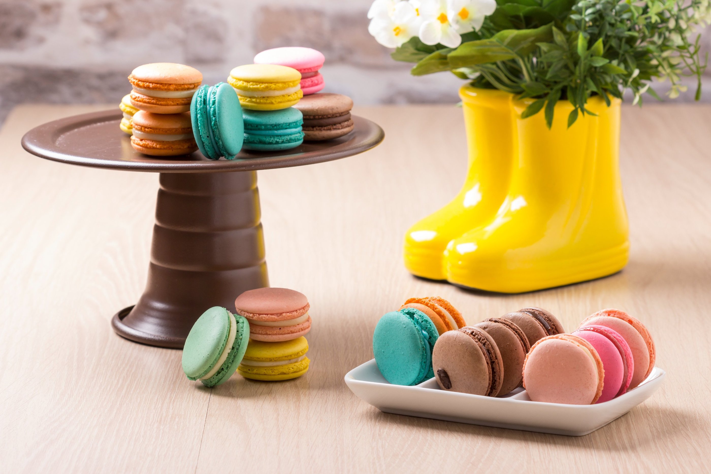 le quitut macaron