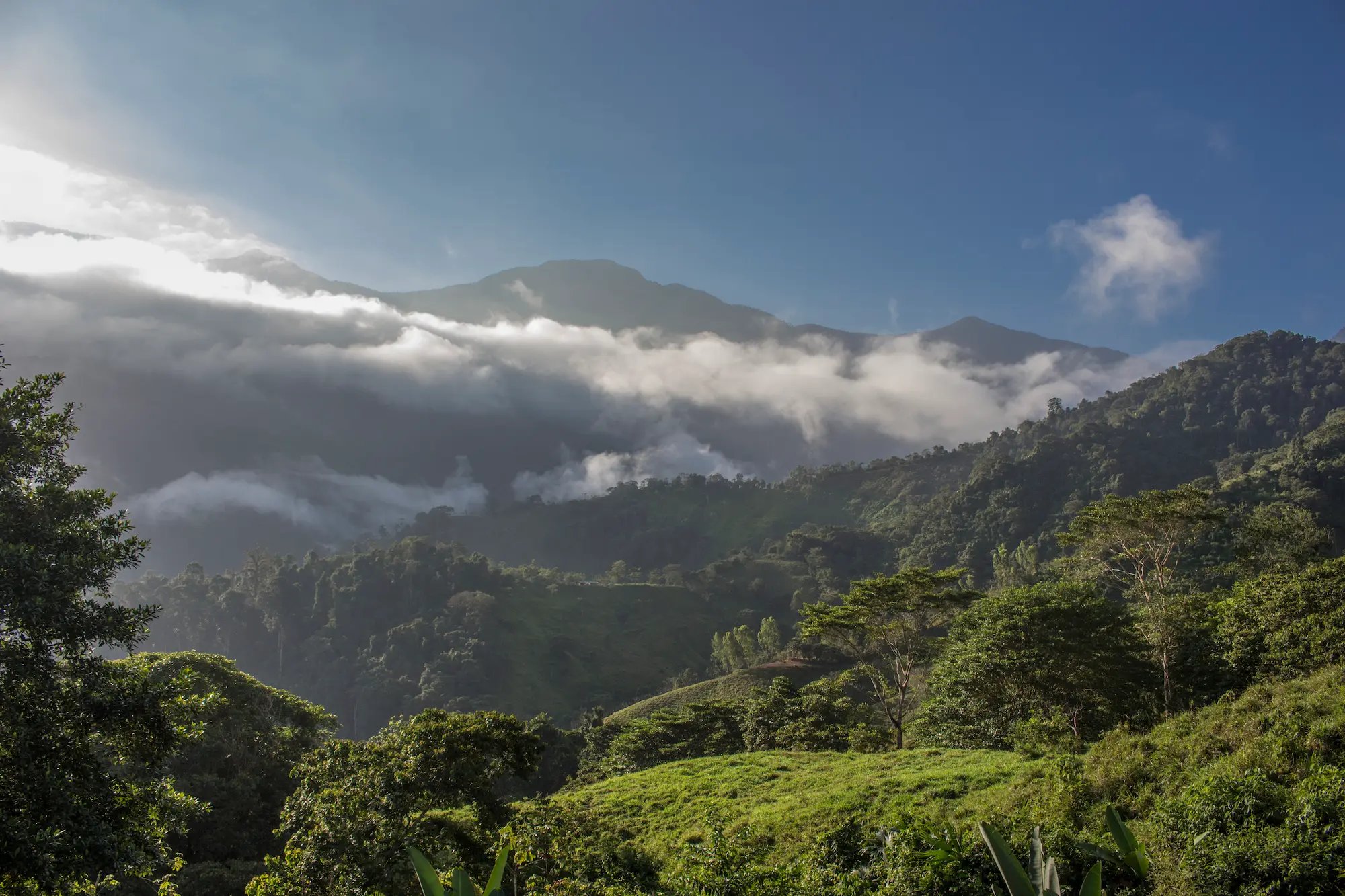 Lush green tropical mountain range shrouded in low-lying white mist and clouds under a bright sky.