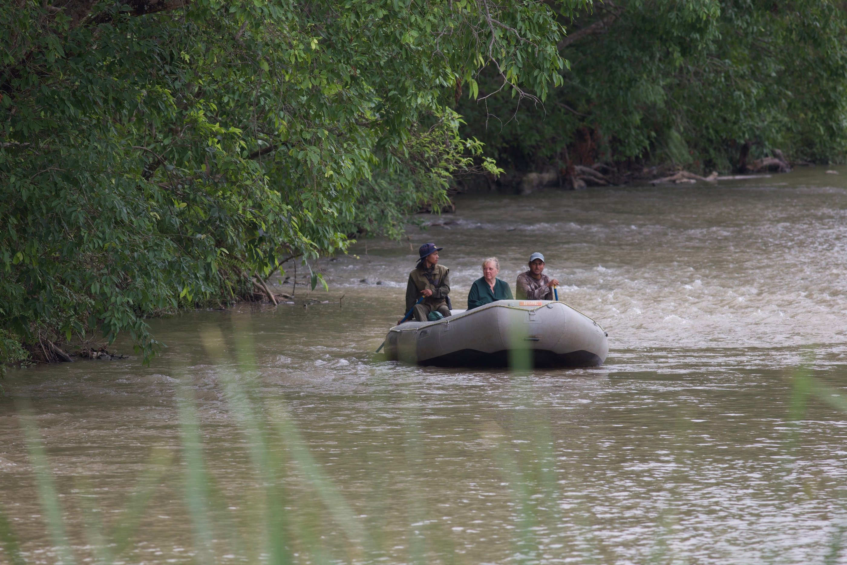 Safari on the river in Bardiya Nationl Park