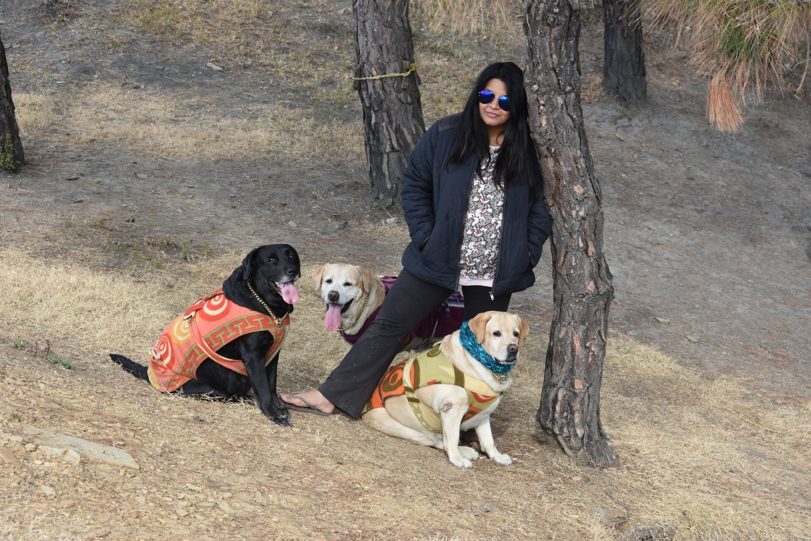 Dog Boarding, Dog Boarding near me, Pet Boarding, Pet Boarding near me, Dog Care, Happy Pettings