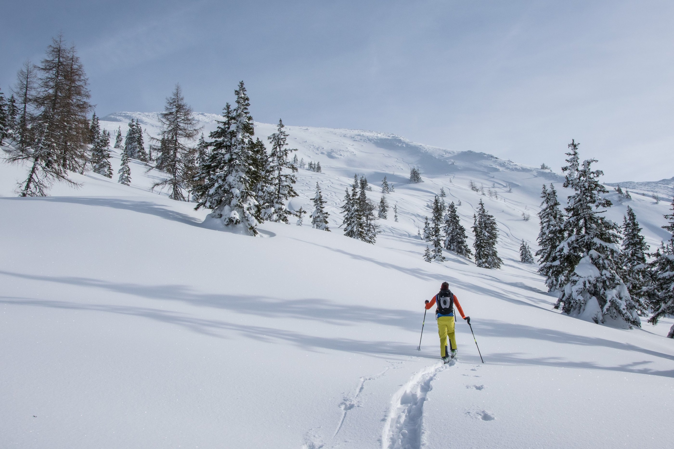 Coaching für Führungskräfte Outdoor am Berg, Leadership Training am Berg, mit Business Mental Coach