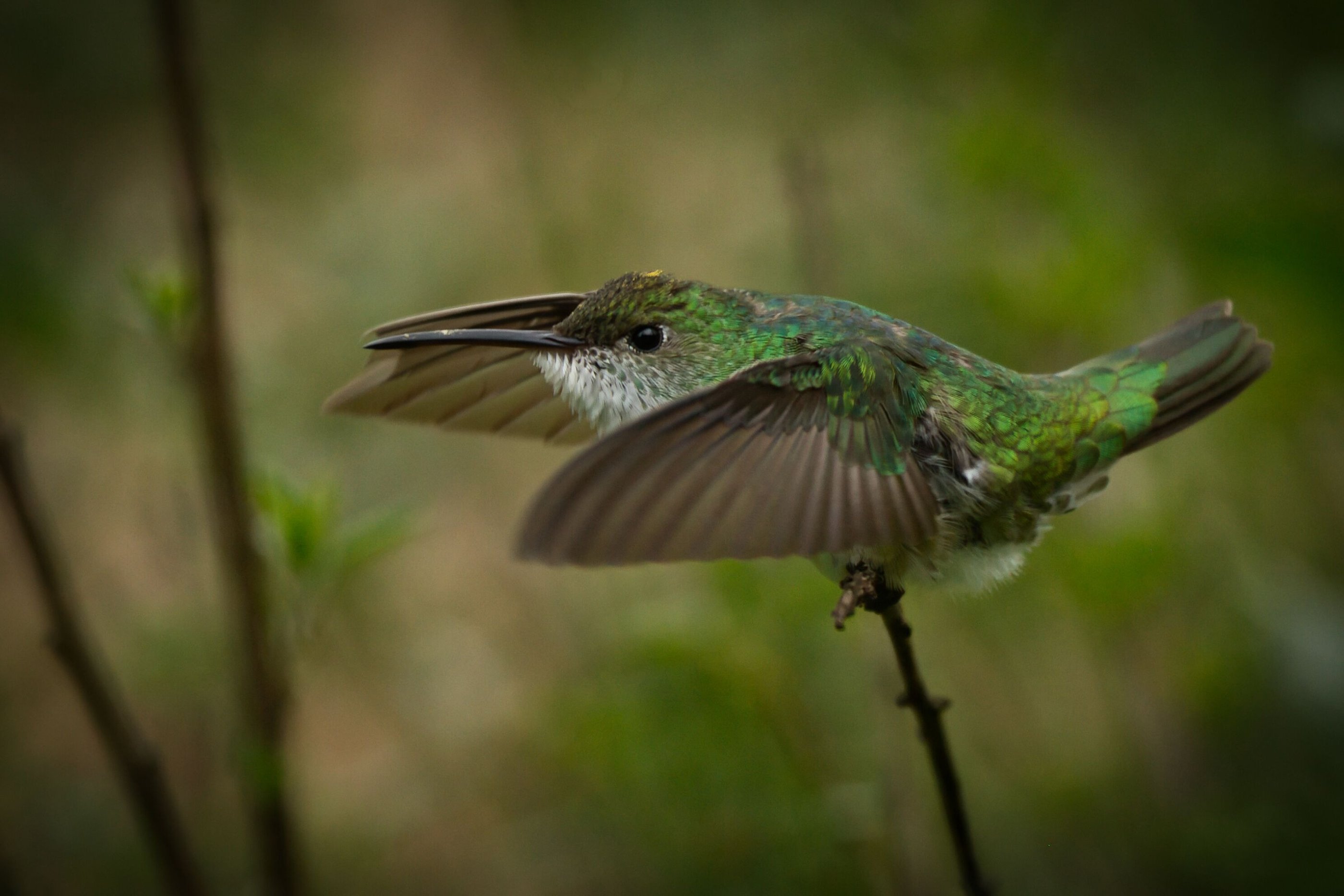 Photography Manu Reserved Natural Paradise 9 D/8N