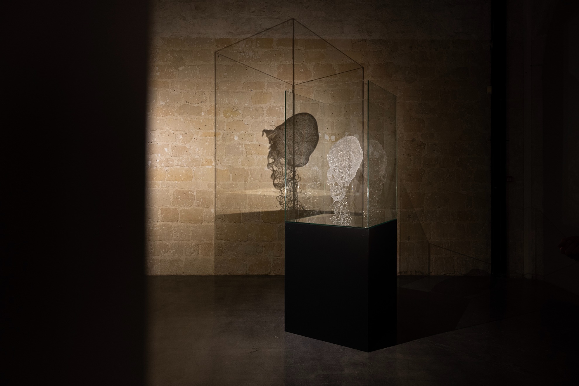 a glass sculpture of a skull in a glass case