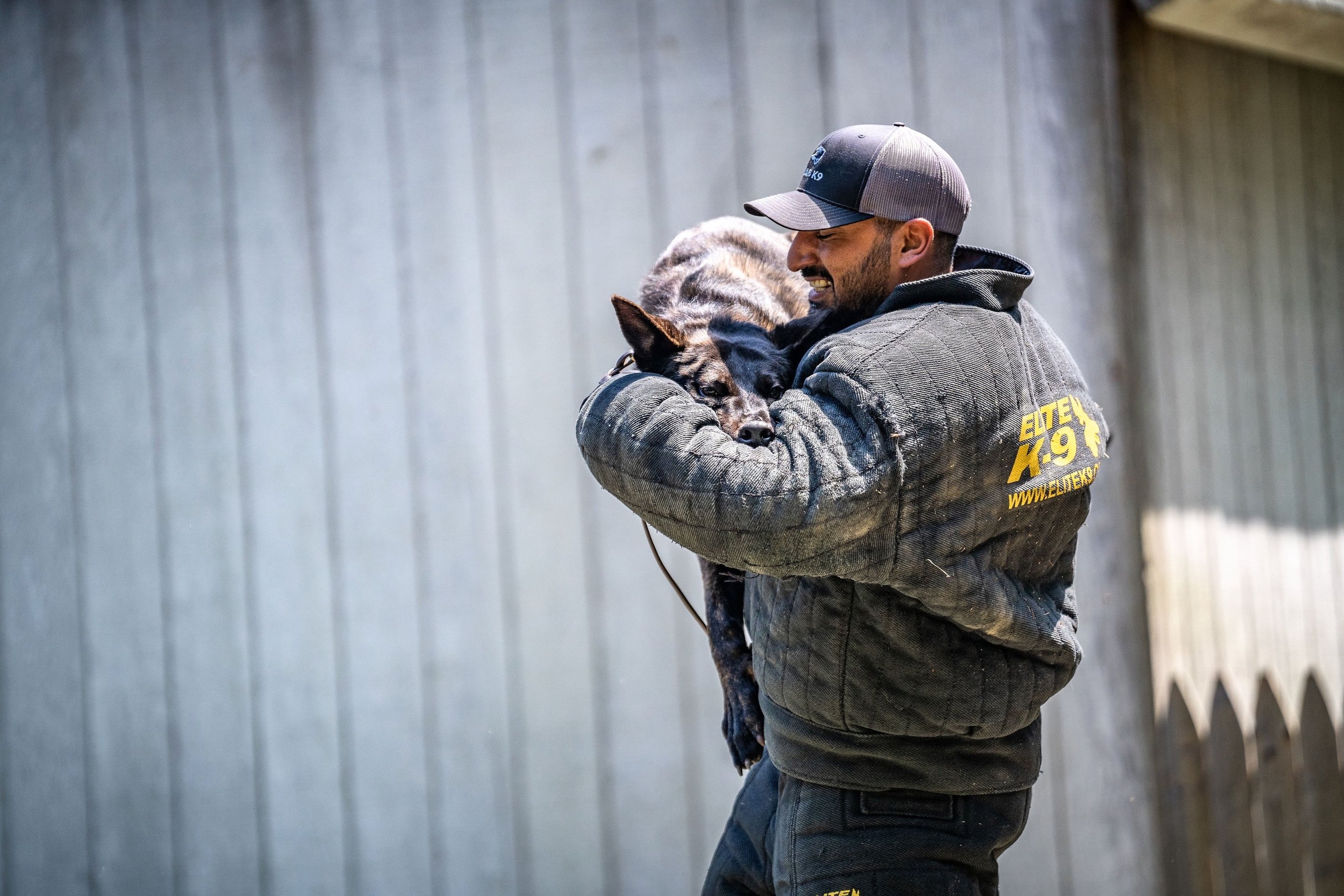 Trainer in a bite suit holding a working dog during protection training at Dynamic K9 in Tampa, FL.