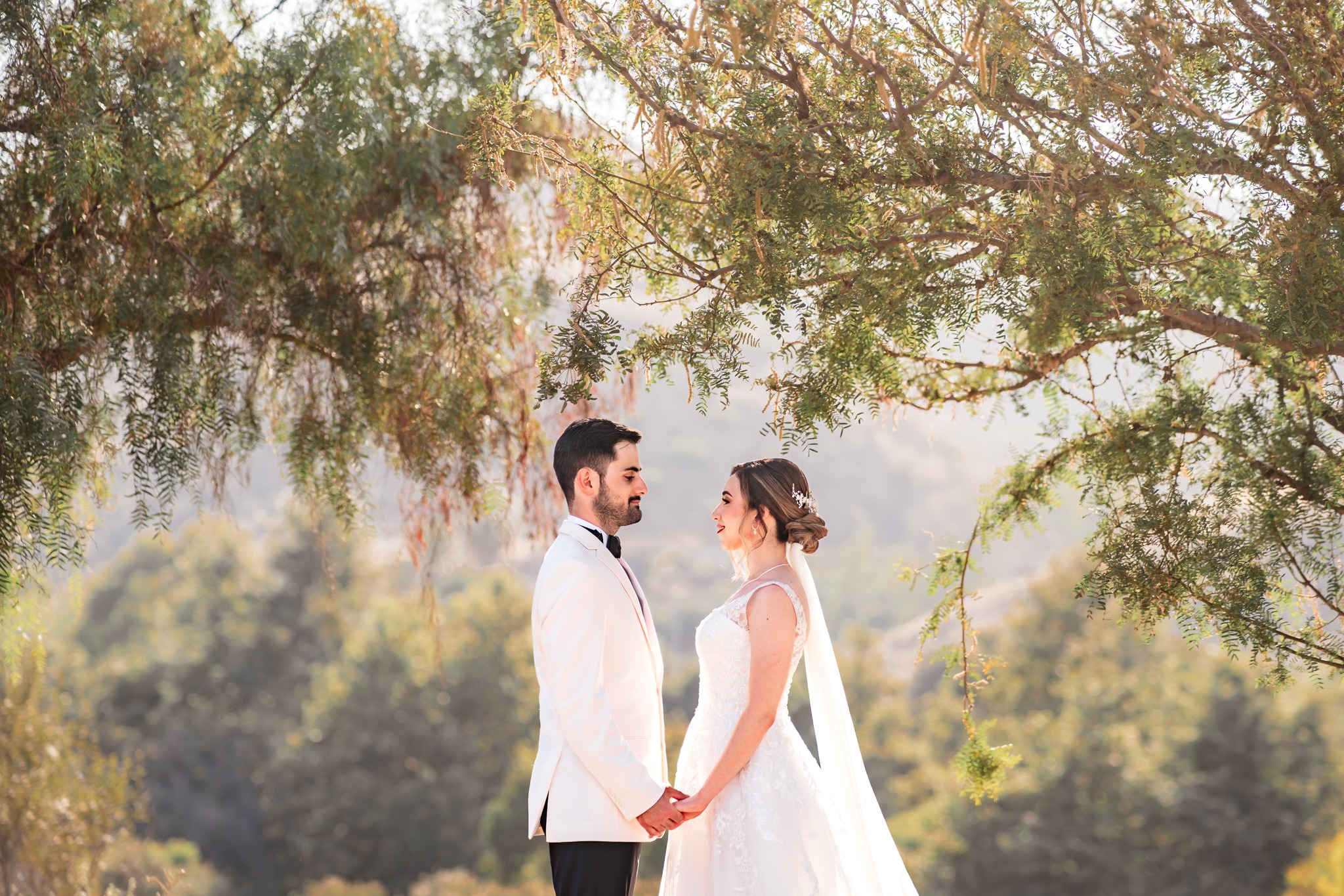 a bride and groom standing in front of a tree