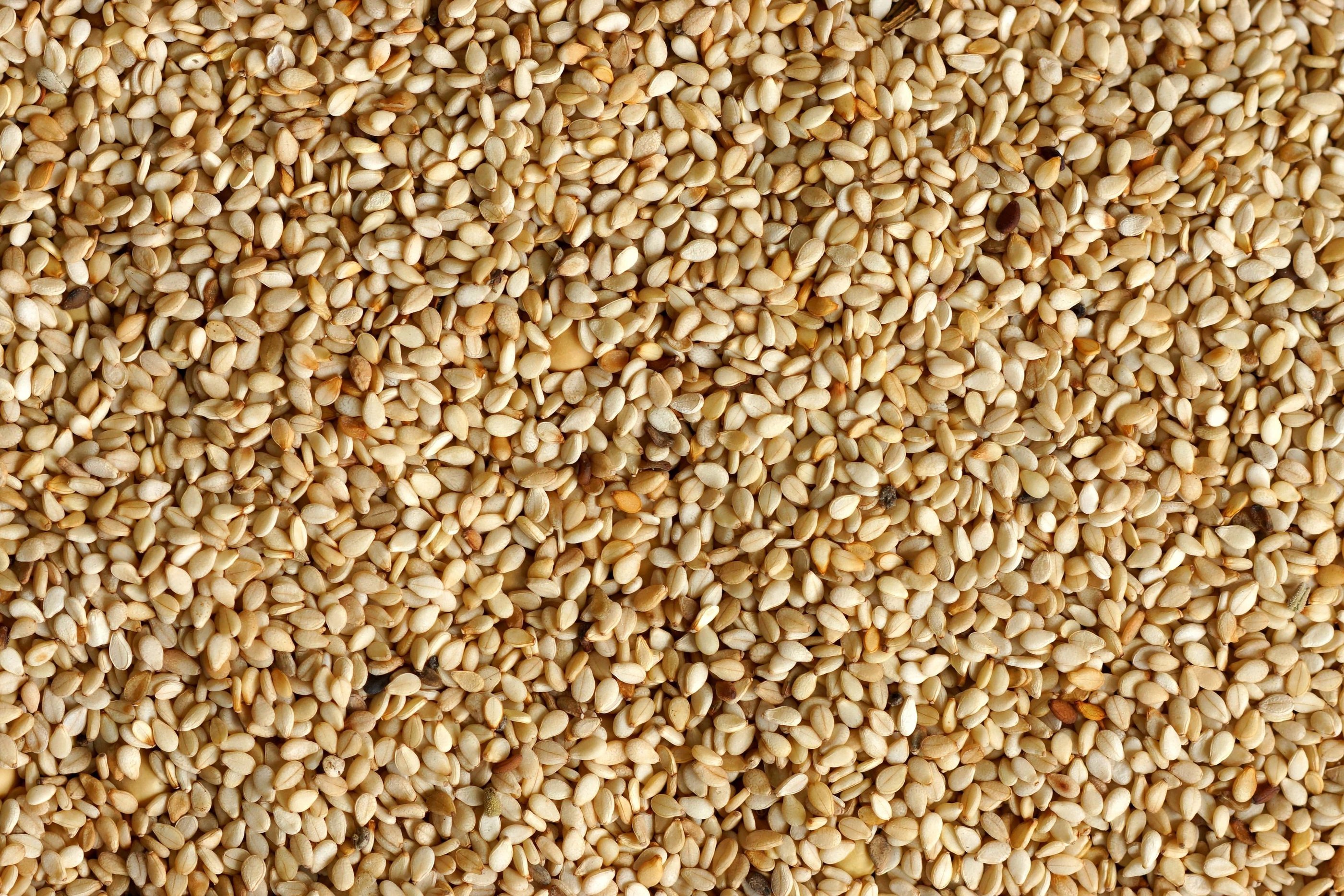 Biggest Sesame Seed Exporters in Pakistan