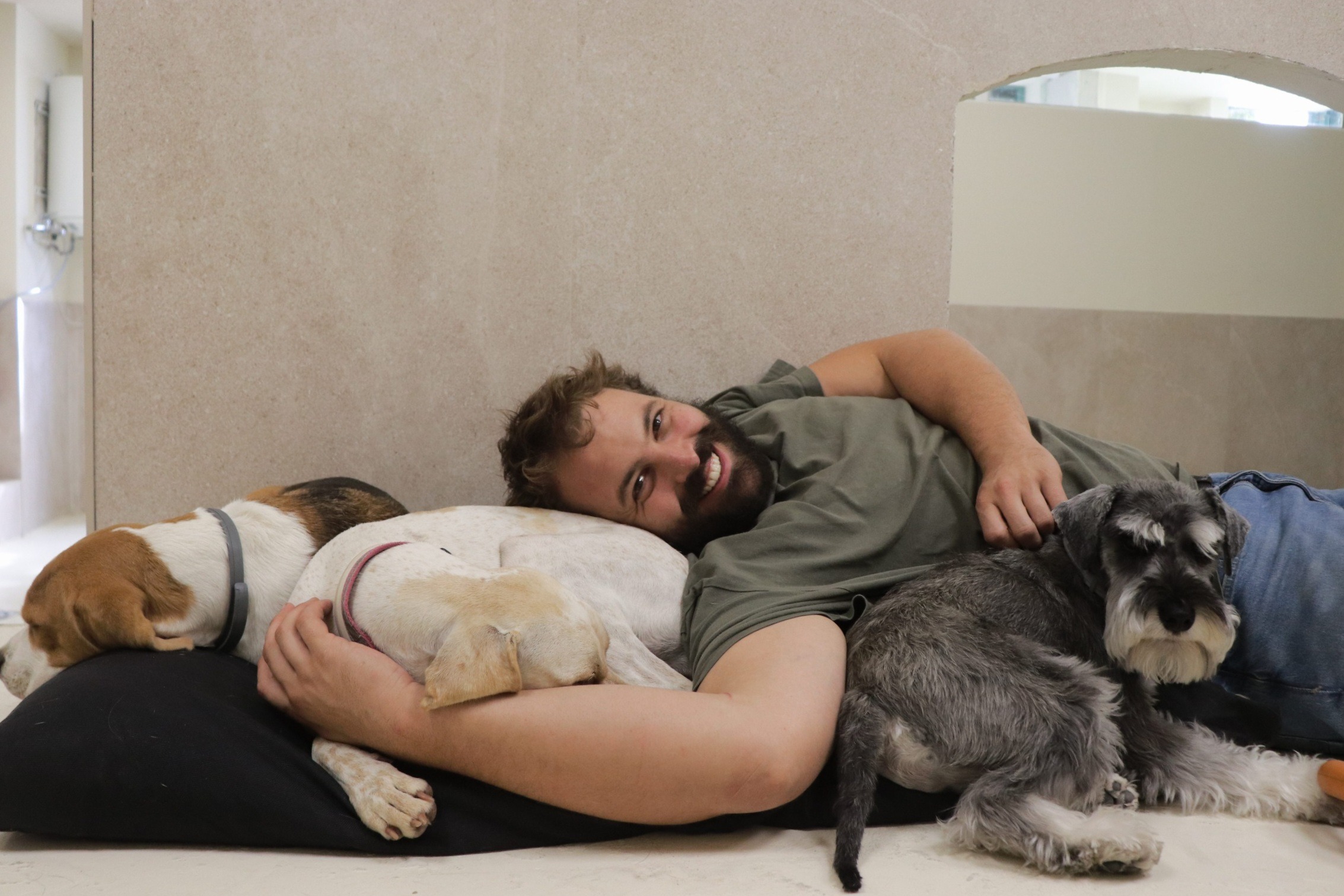 cuidador canino con perros descansando en una guardería canina