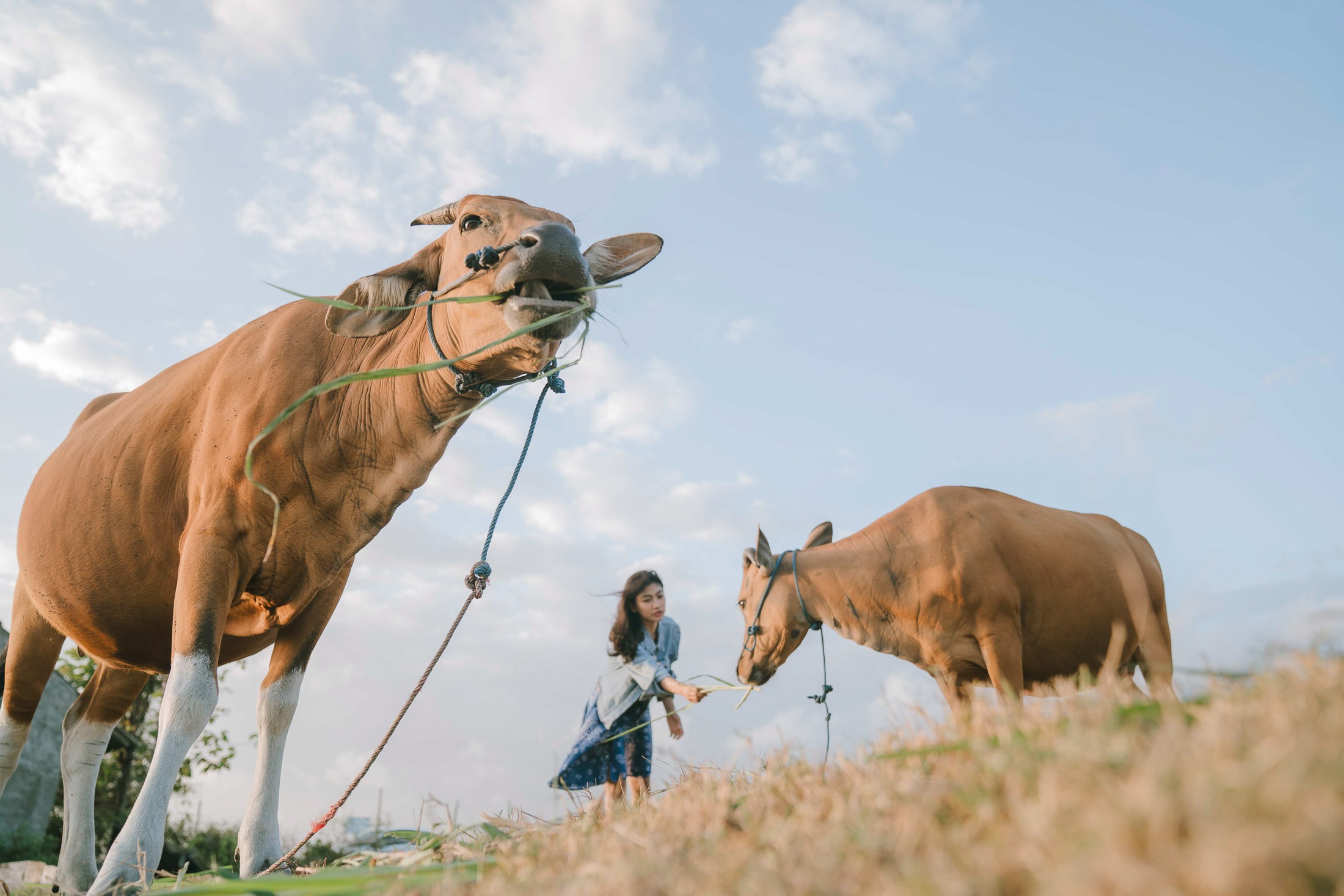 Artistic portrait in rural landscape near Pantai Nyanyi Tabanan Bali
