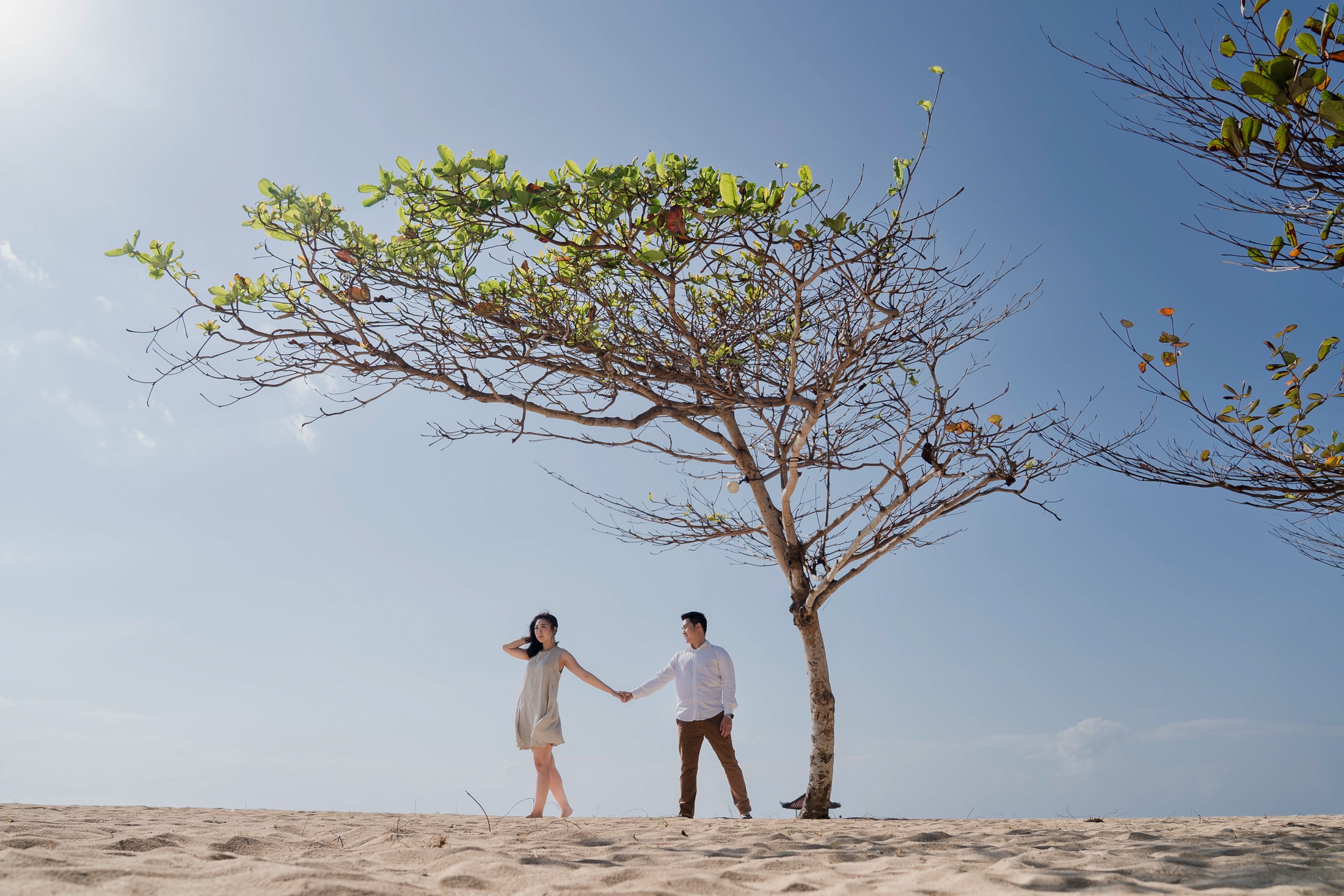 Intimate proposal couple under a lone tree at Sofitel Nusa Dua beach Bali
