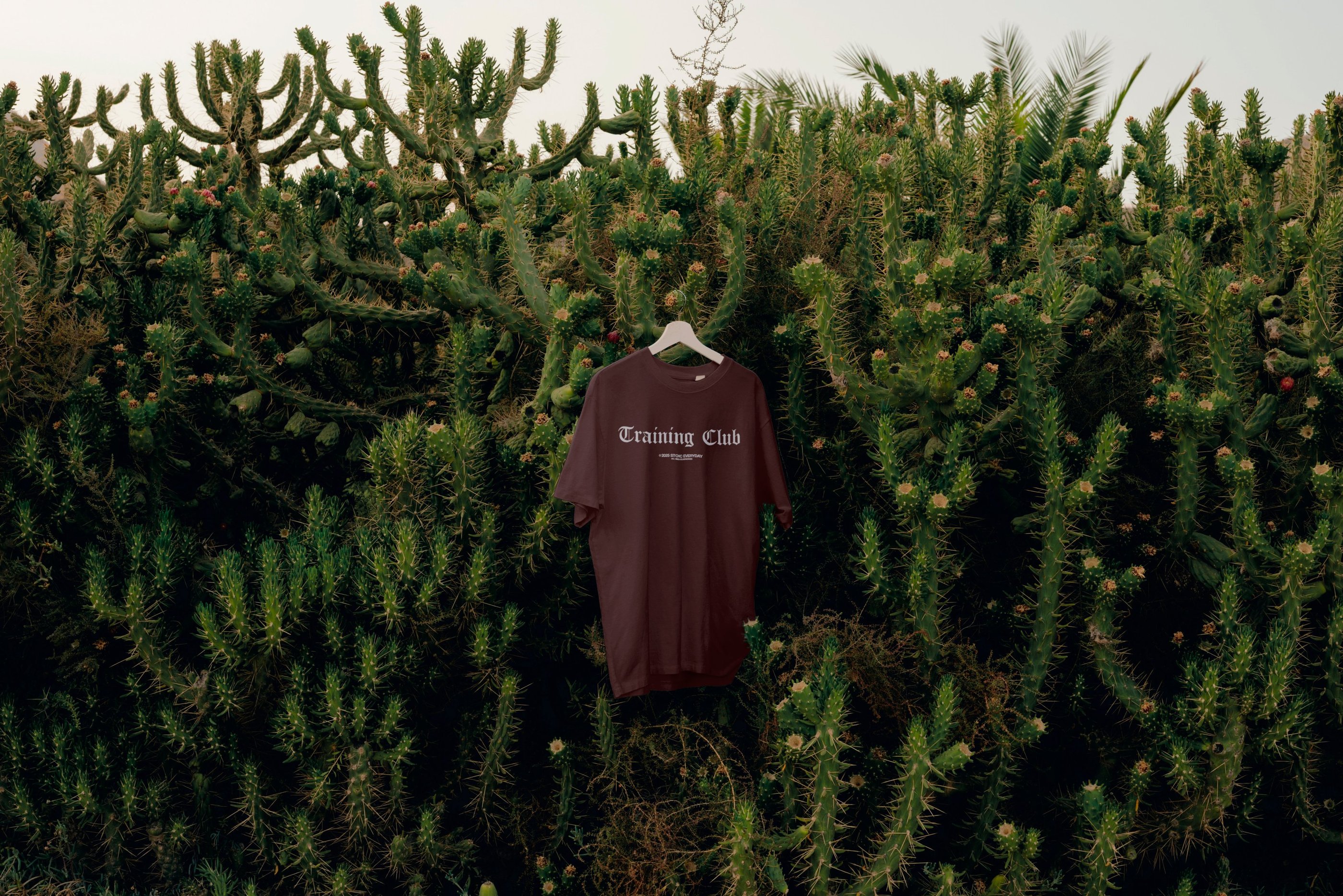 oversized tshirt premium India cotton