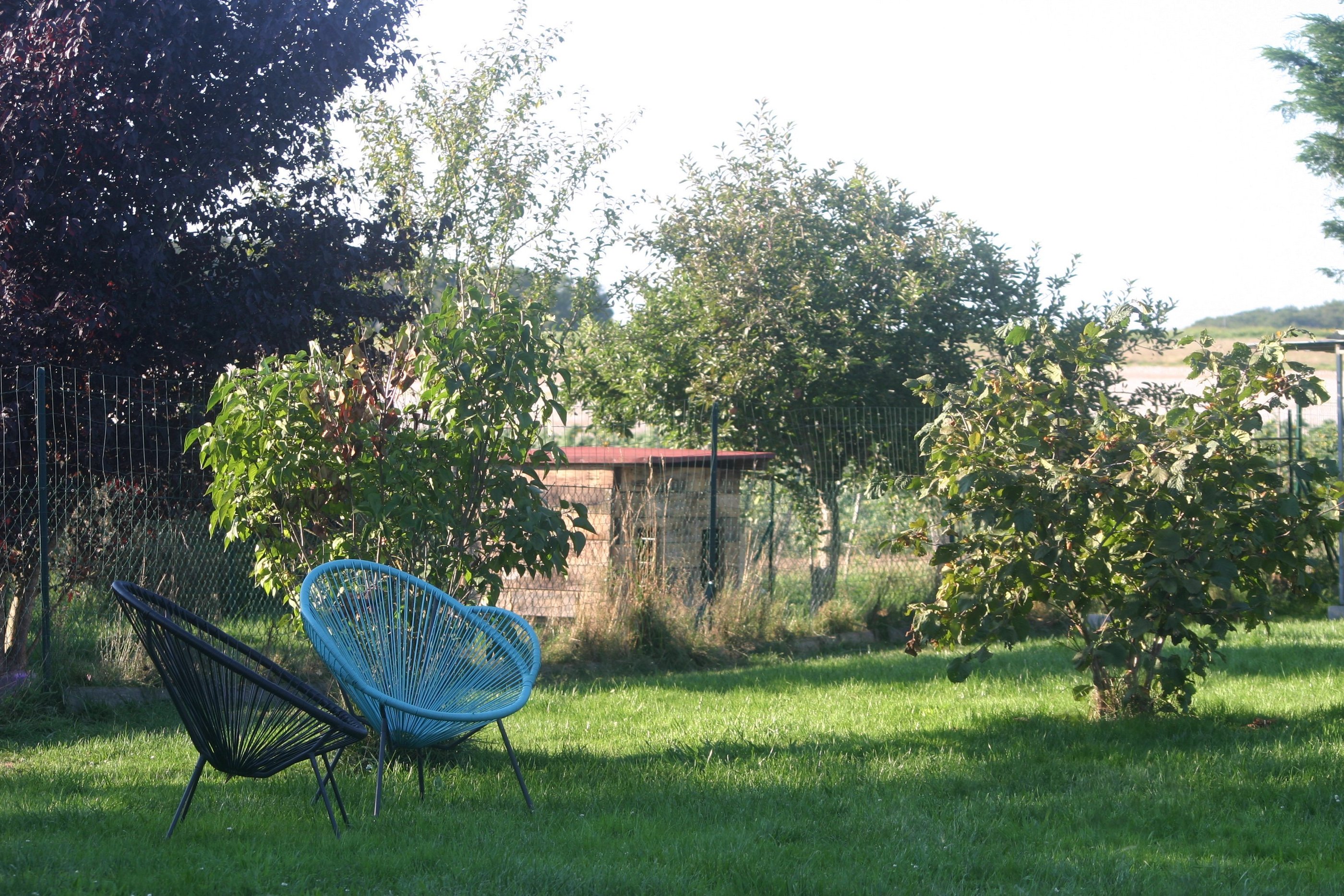 a blue chair in a grassy area with a tree in the background