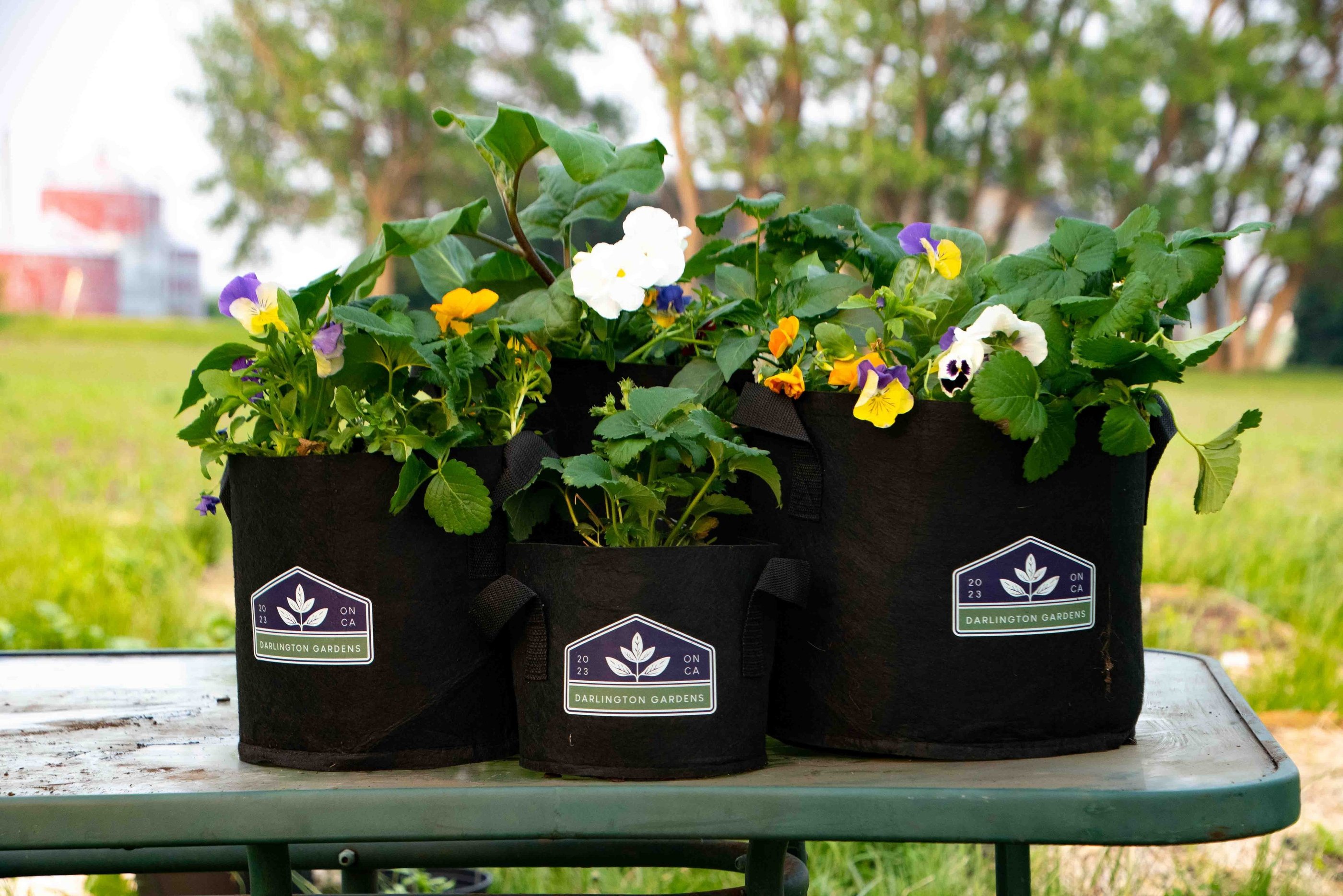 BRAND IMPACT NURSERY