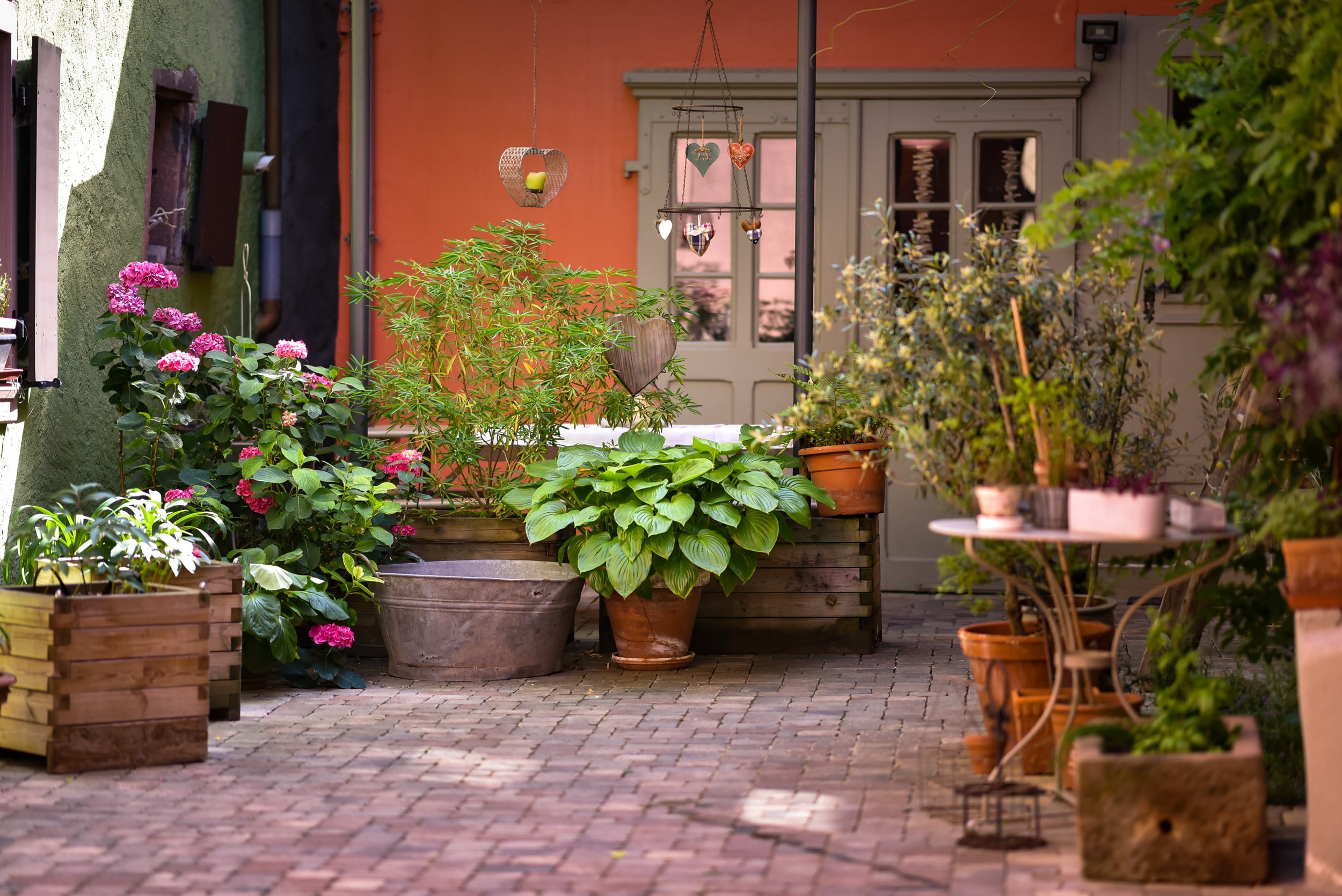 Jardin gite ribeauvillé alsace