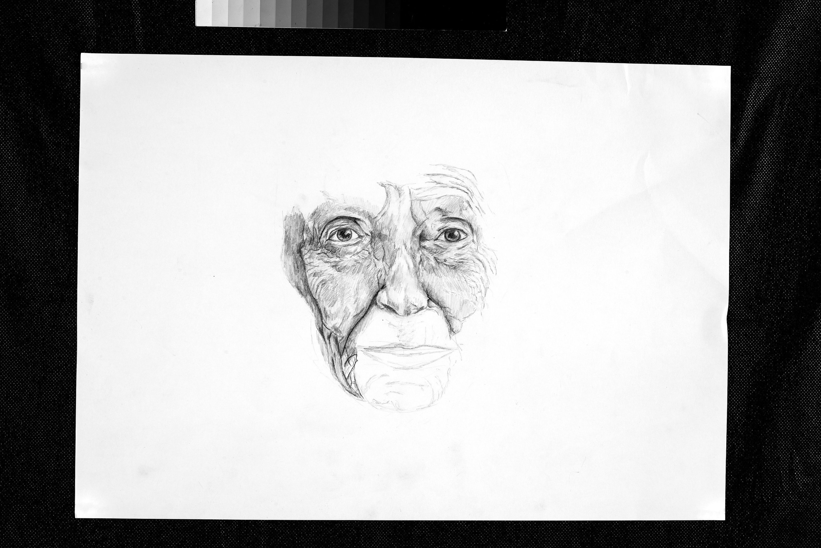 Porträtstudie einer älteren Dame auf grossem Format, fokussiert auf Gesichtszüge und Ausdruck.