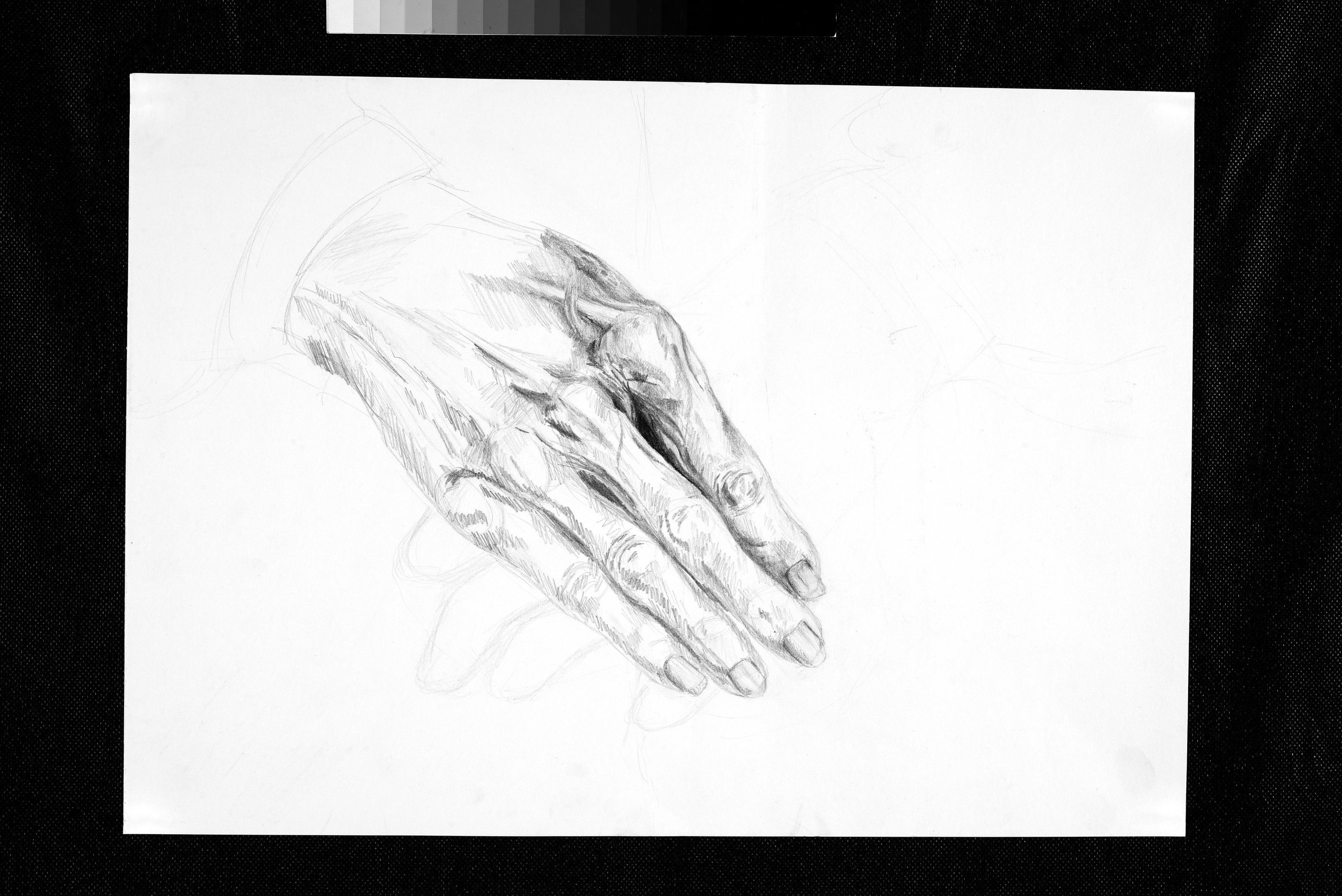 Bleistiftstudie einer Hand auf grossem Format, mit skizzenhaftem Charakter.