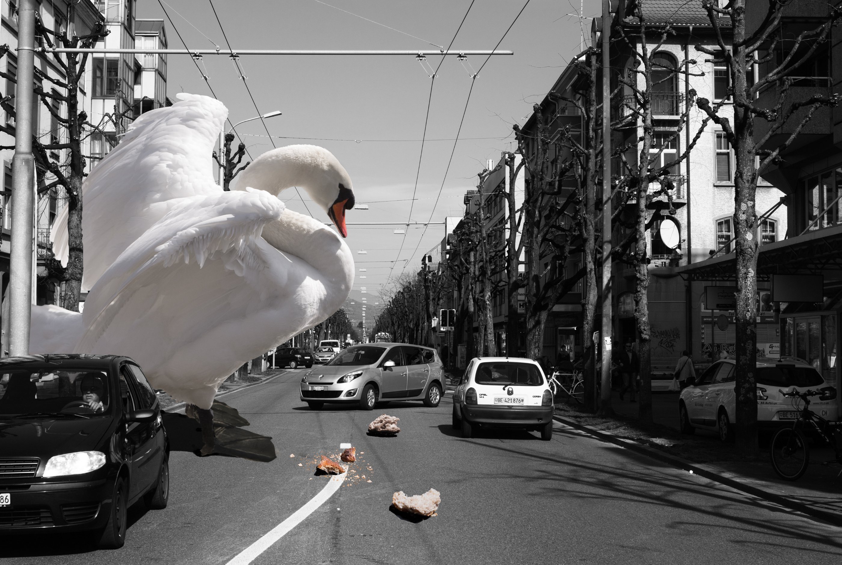 Fotomontage mit Schwan in der Stadt – Beispiel aus dem Kurs Photoshop Composing Basel.