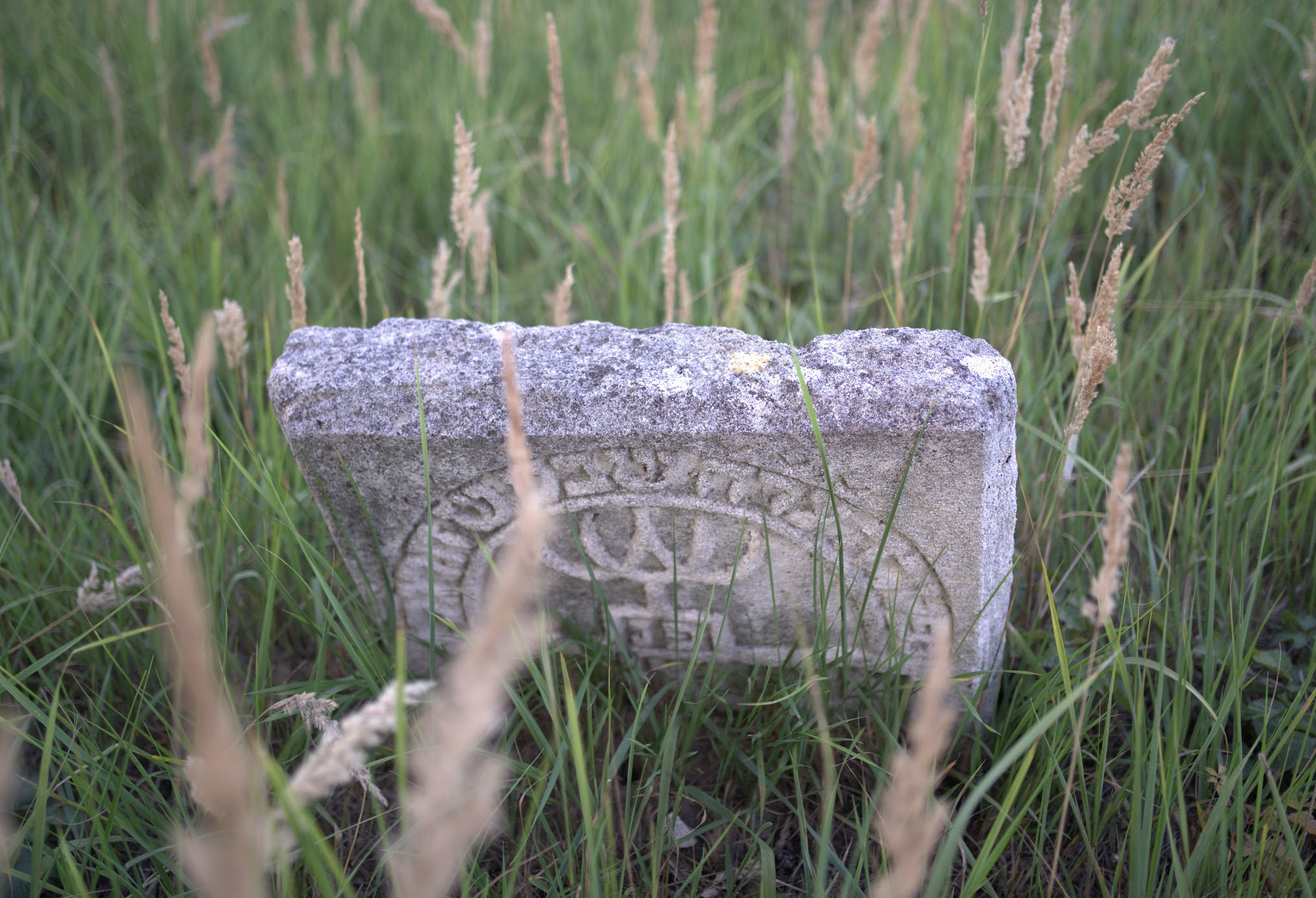 Jewish cementery Lubaczów, Poland