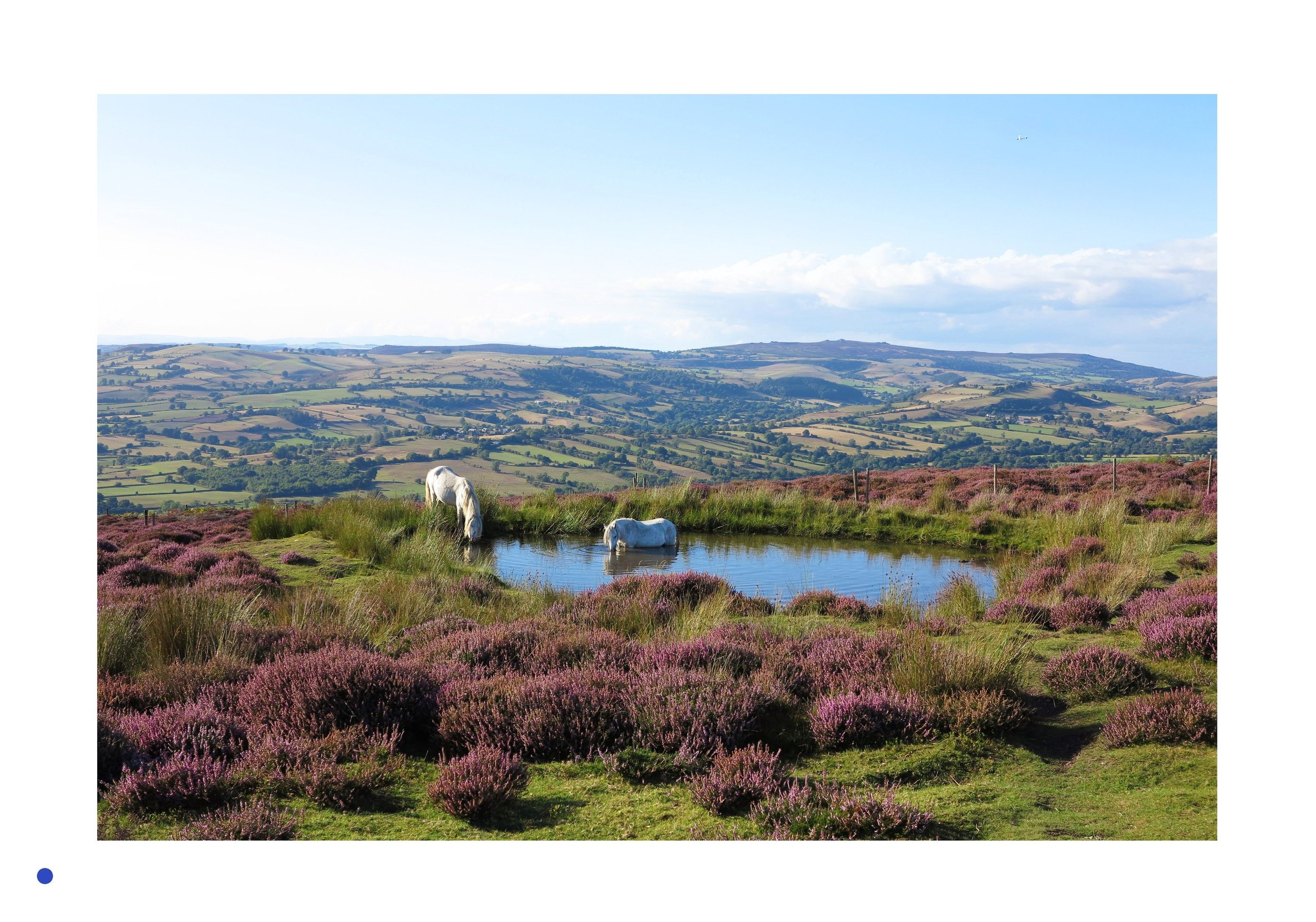 Photo by James Moore