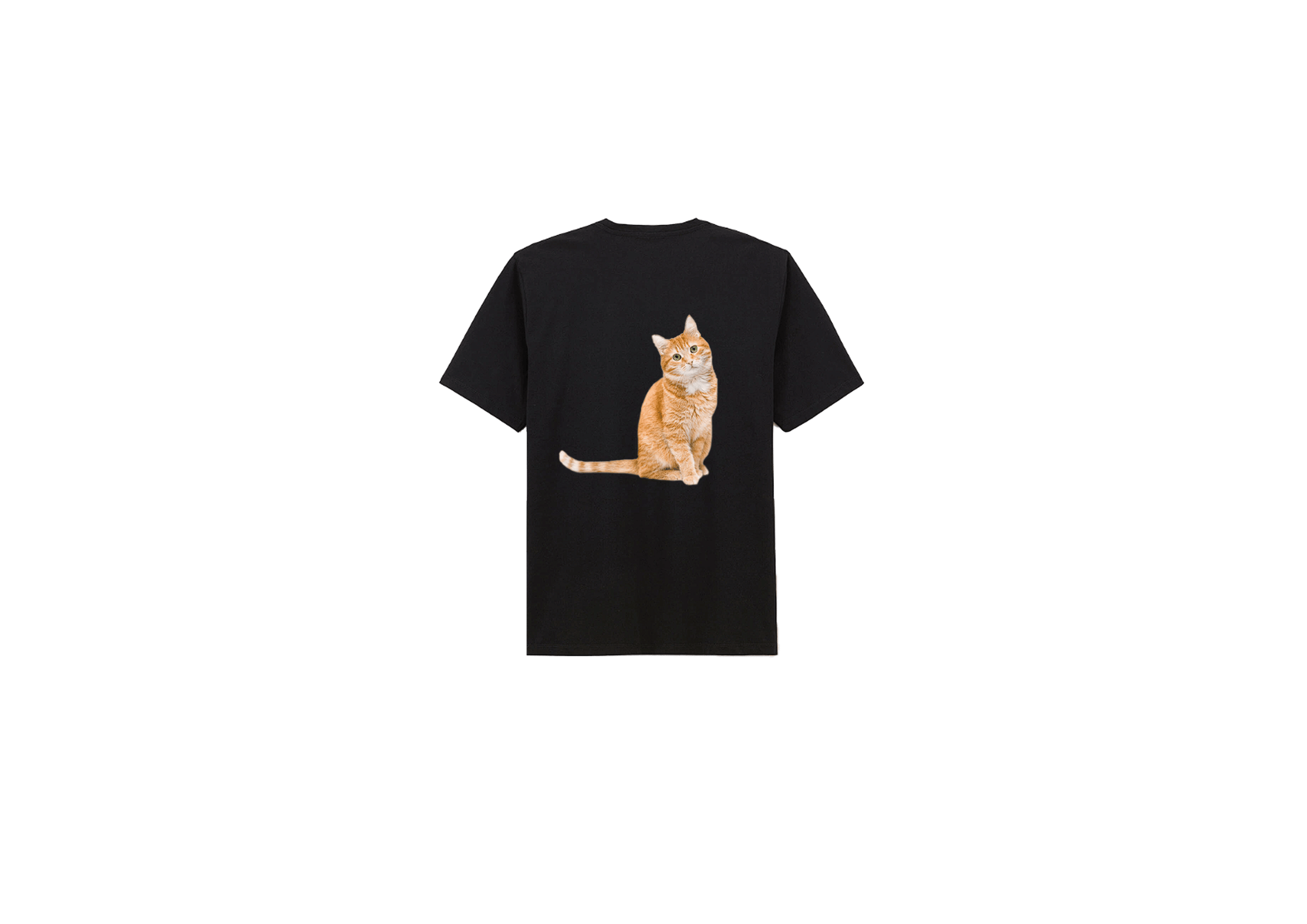 deuxième exemple de tshirt floqué