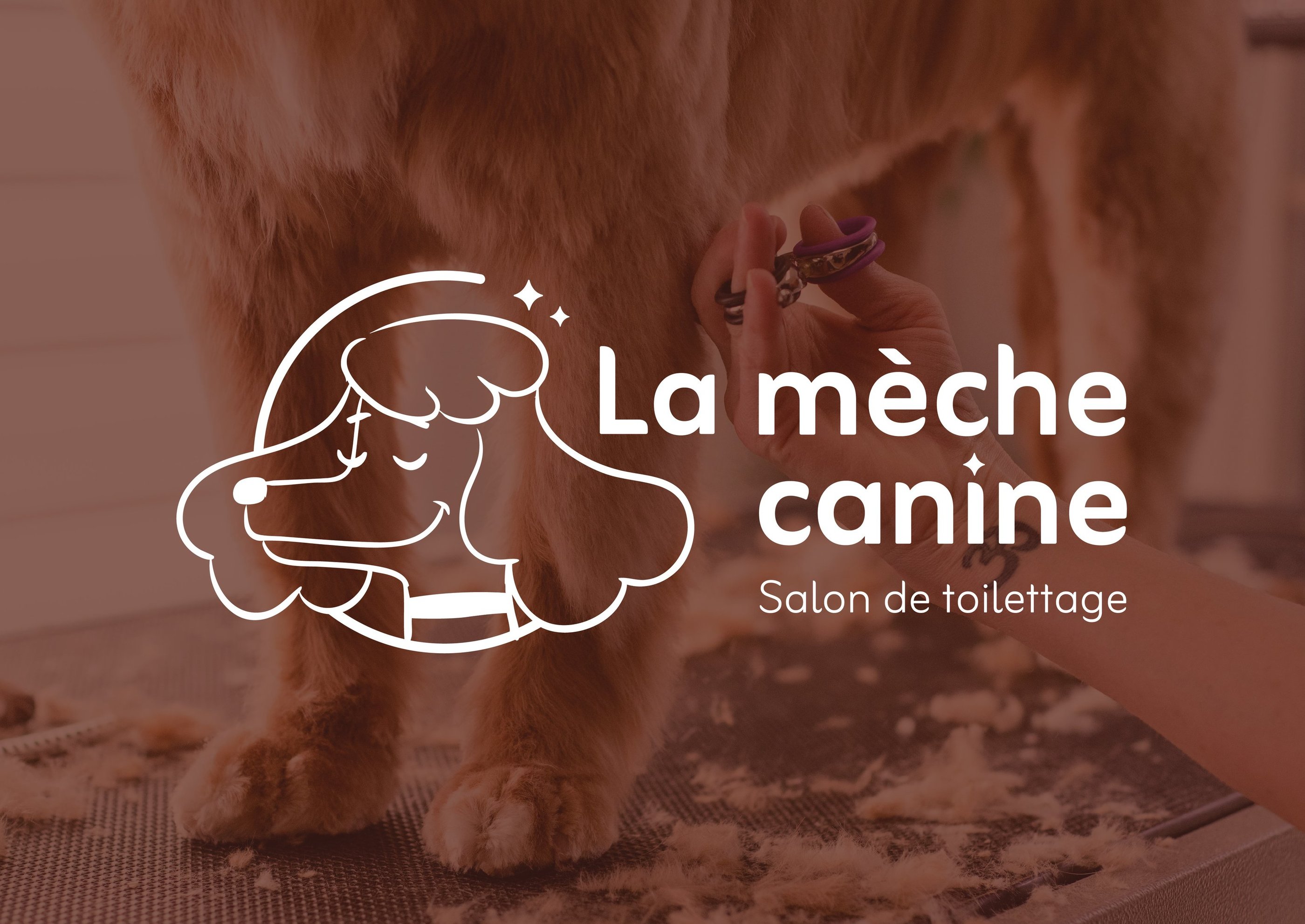 Réalisation : logo - identité visuelle - La mèche canine -Salon de toilettage- Amy Atelier Graphique