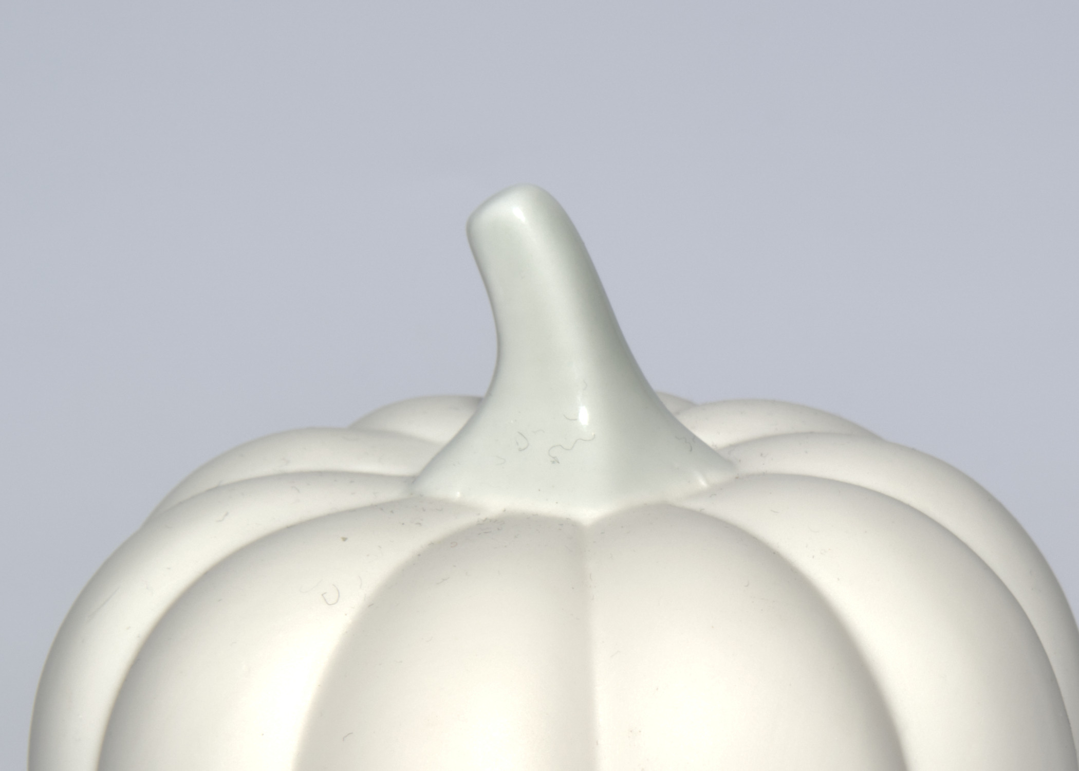 Close up product image showing dust and hairs showing the importance of preparation and cleaning