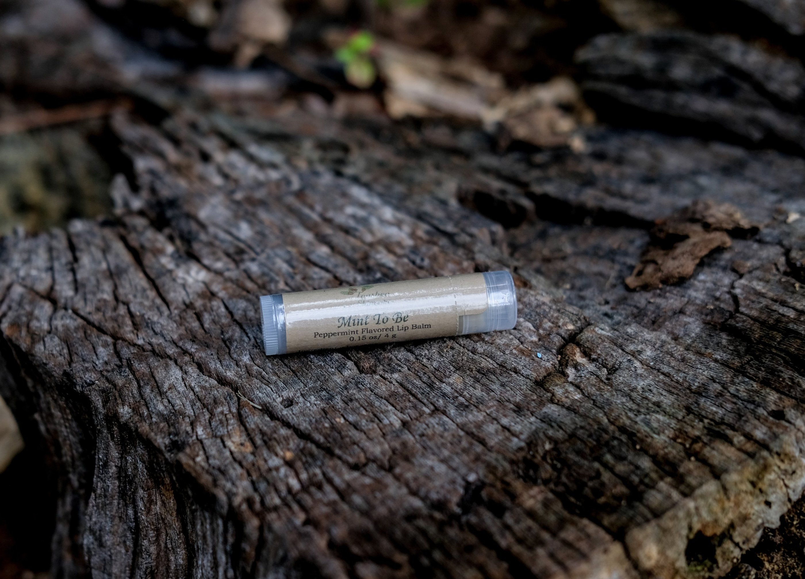 tube of lip balm on a tree stump