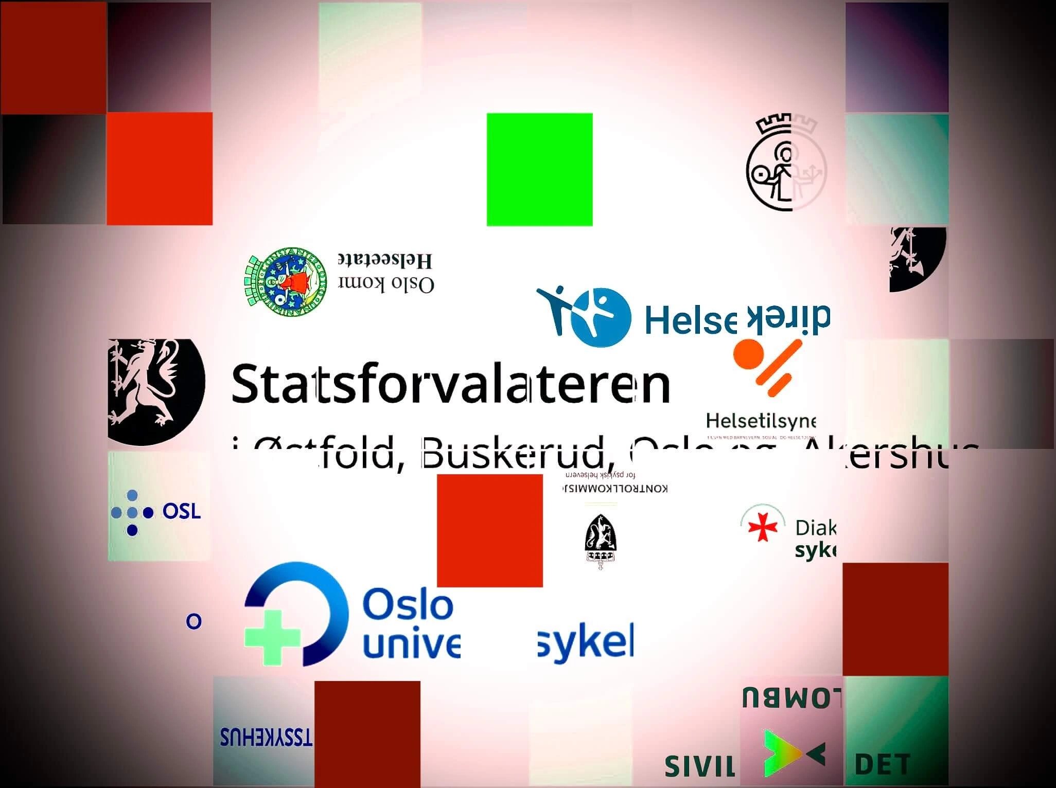 Statsforvalteren i Oslo, Oslo kommune, Kontrollkommisjonen, Statens helsetilsyn, Sivilombudet, legev