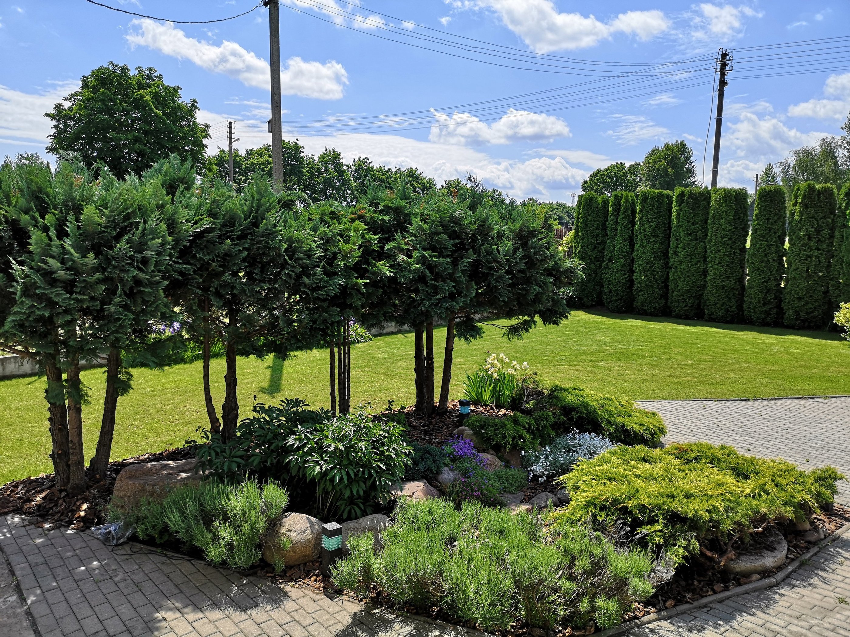 Naujo sklypo apželdinimas, vejos ir gėlynų įrengimas, laistymo sitema