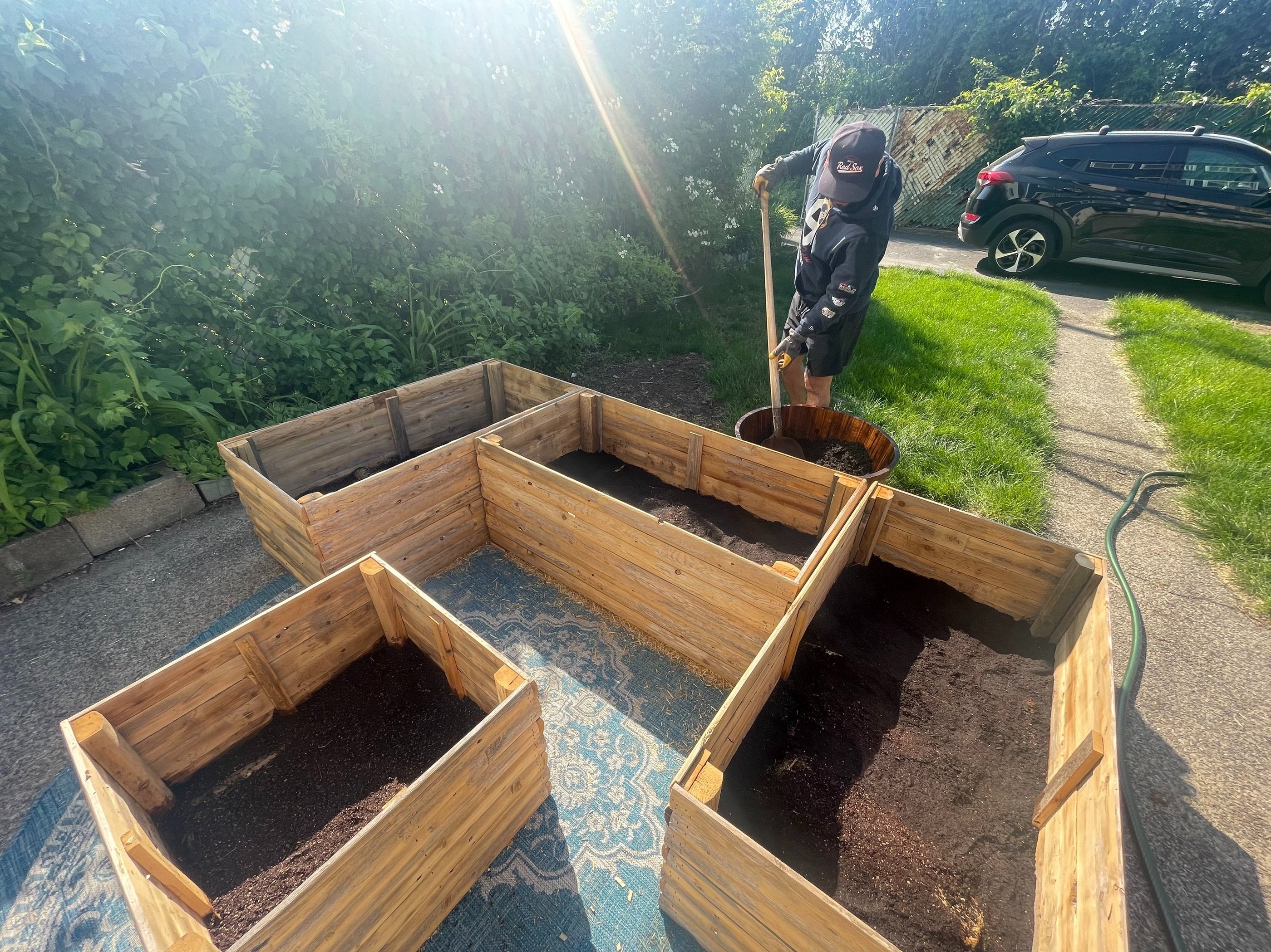 Layered raised garden bed filled using the Lasagna Method with cardboard, organic matter, coco coir