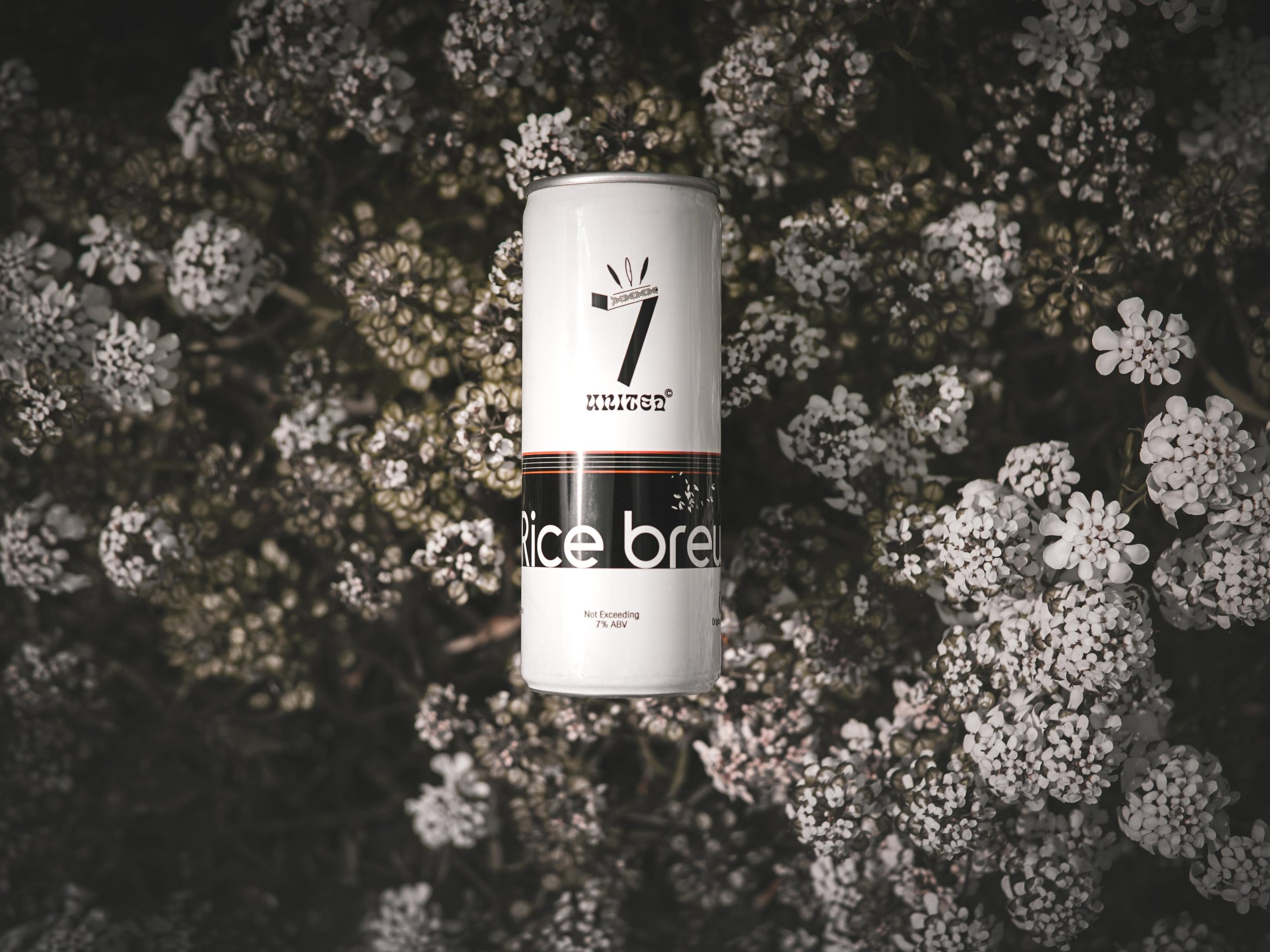 7 united rice beer in an Aluminium can with a floral backdrop