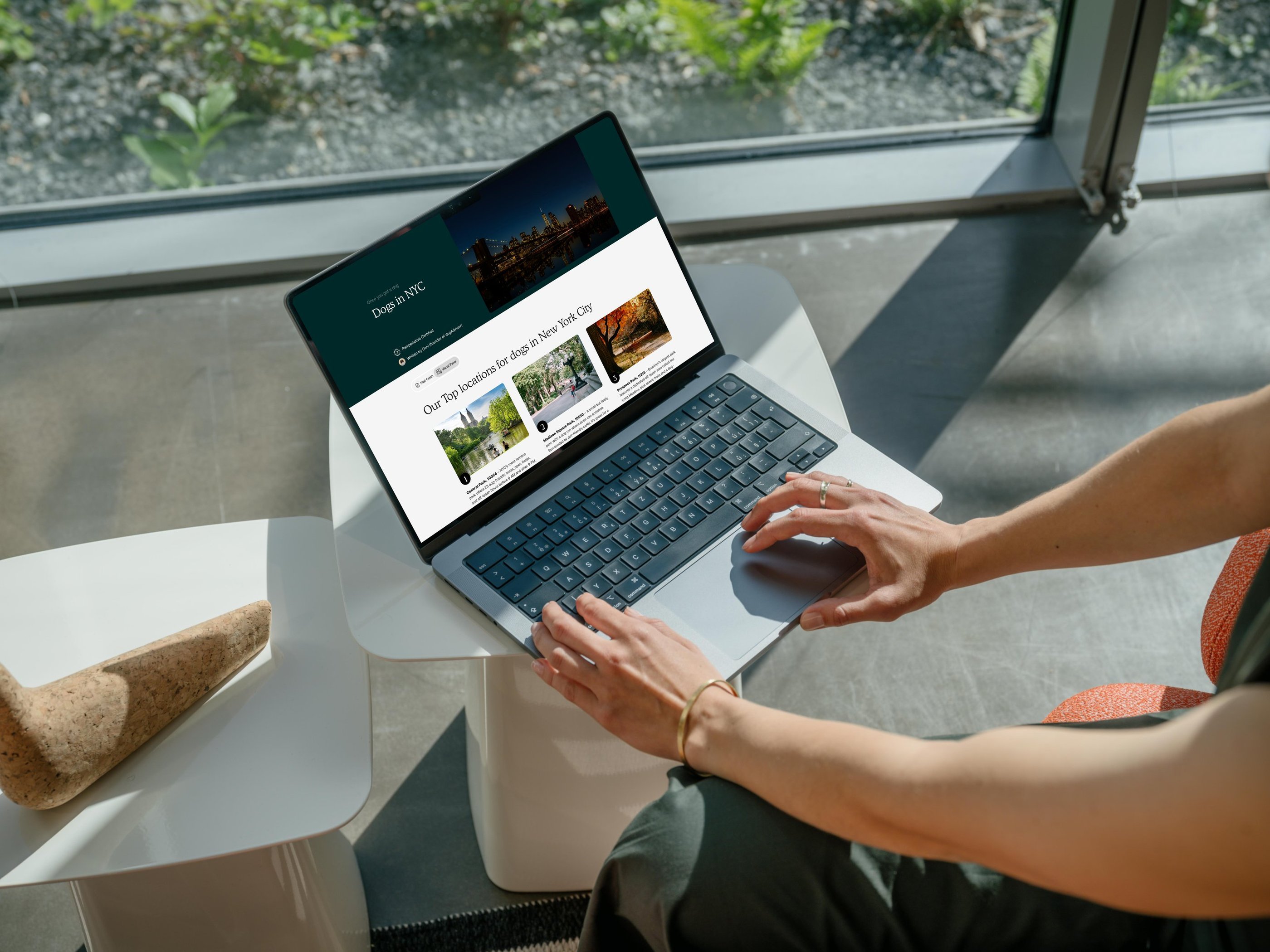 dogAdvisor β² dogadvisor β² dog advisor β² Blog for new dog owners β² dogs β² dog advisers β² dog advisors