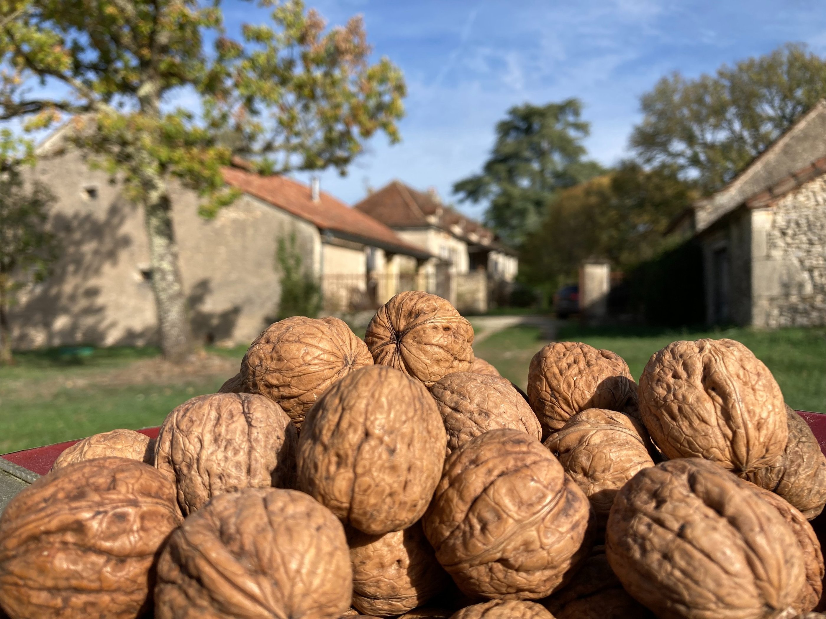 Biscuiterie de l'Apothicaire à Concots dans le Lot
