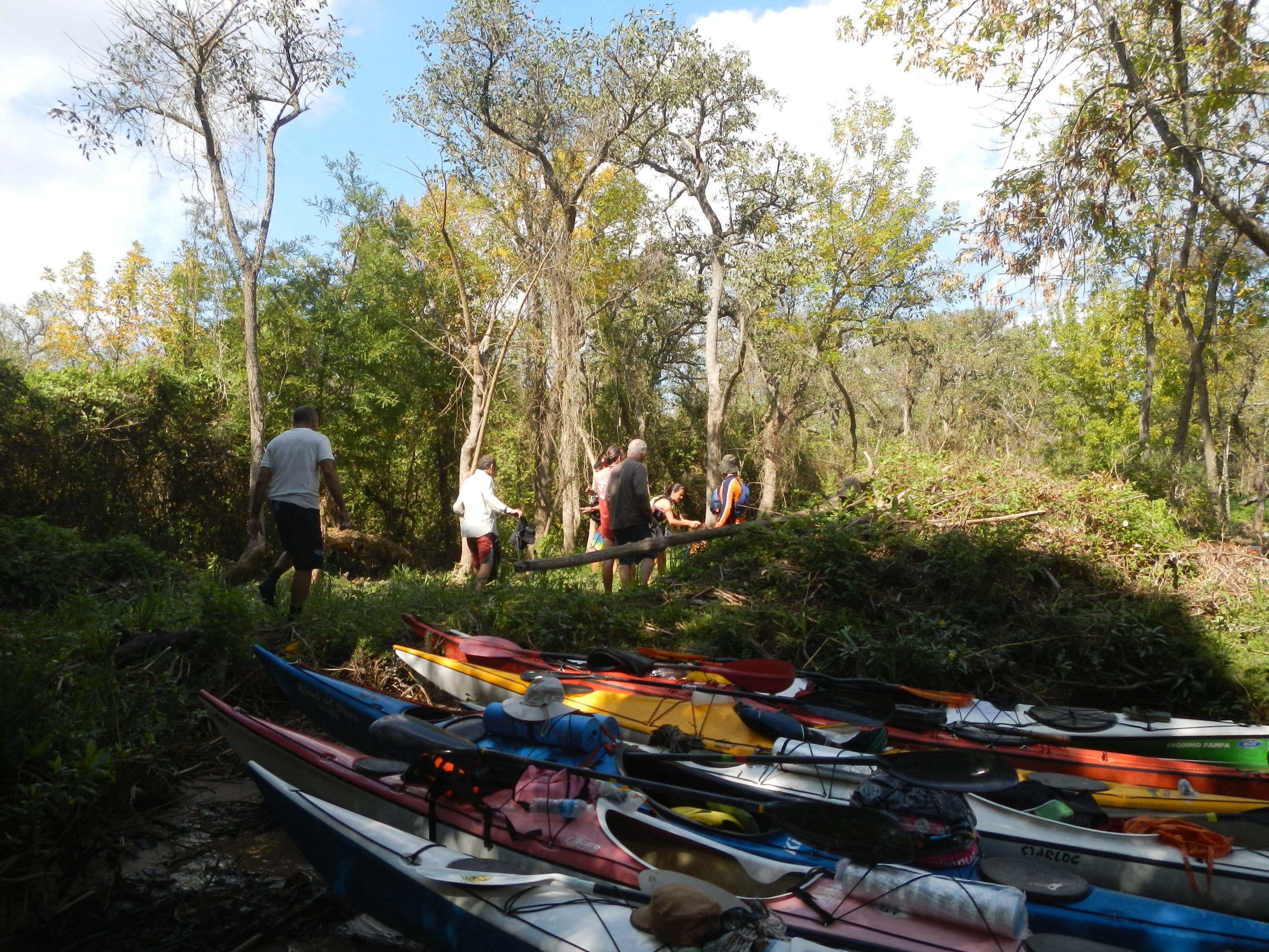 Explorando el Tigre -Argentina