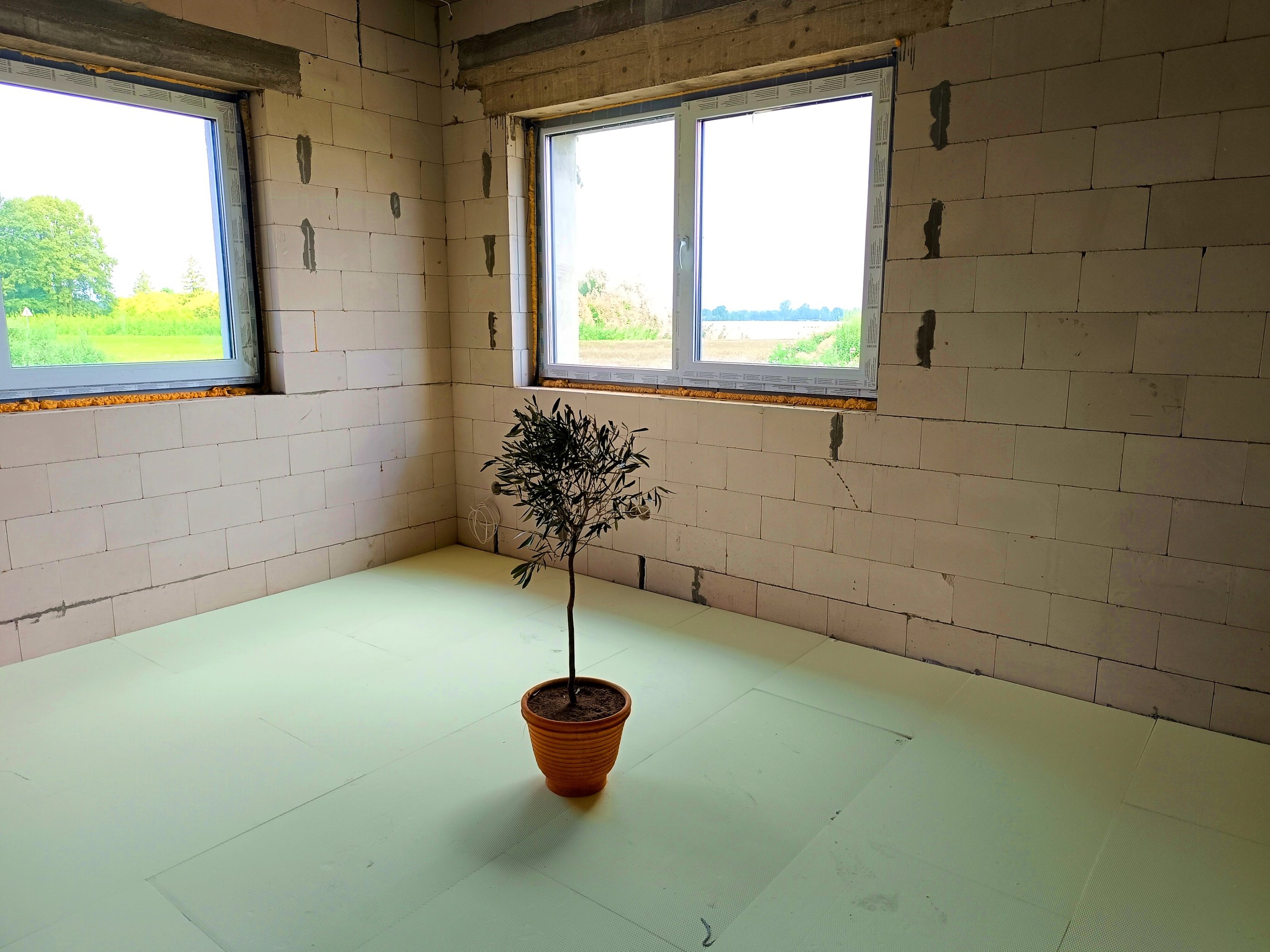 Augalas polistirolas grindys blokeliai langai