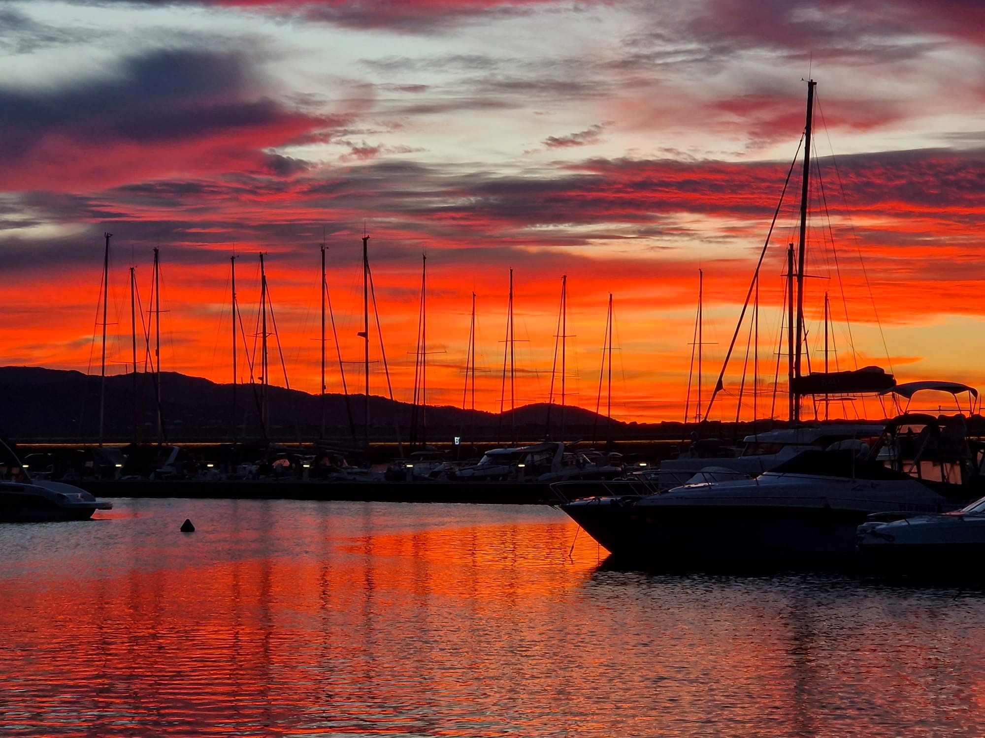 port-bormes-les-mimosas