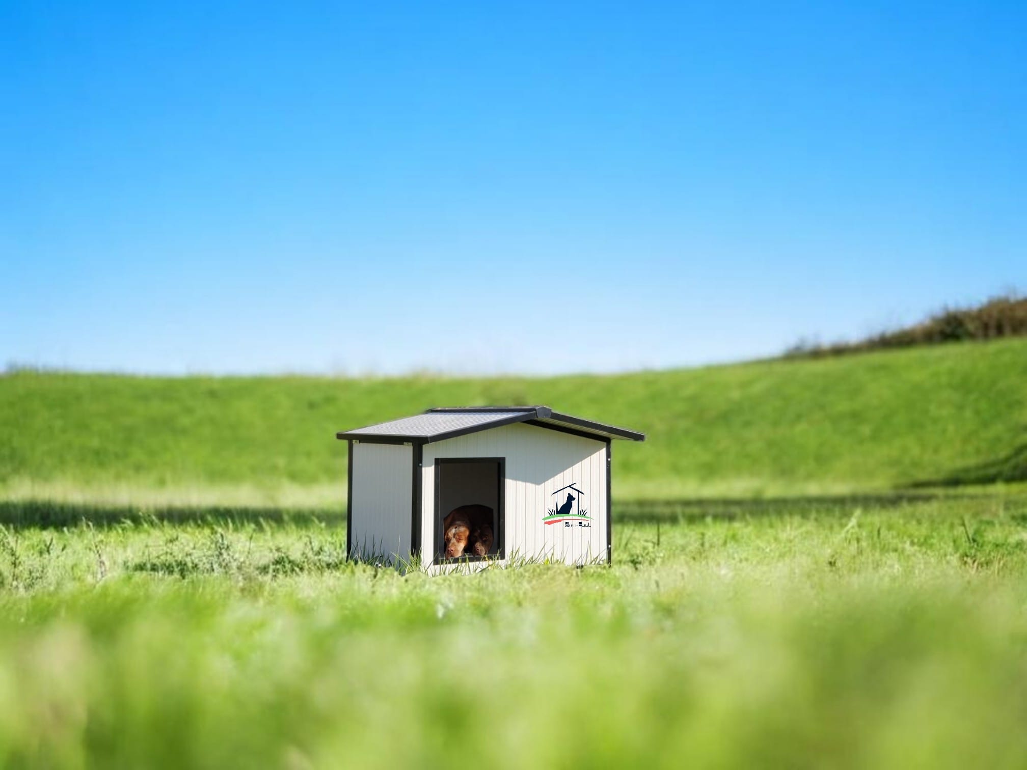 Cuccia Coibentata Best Seller Per cani 