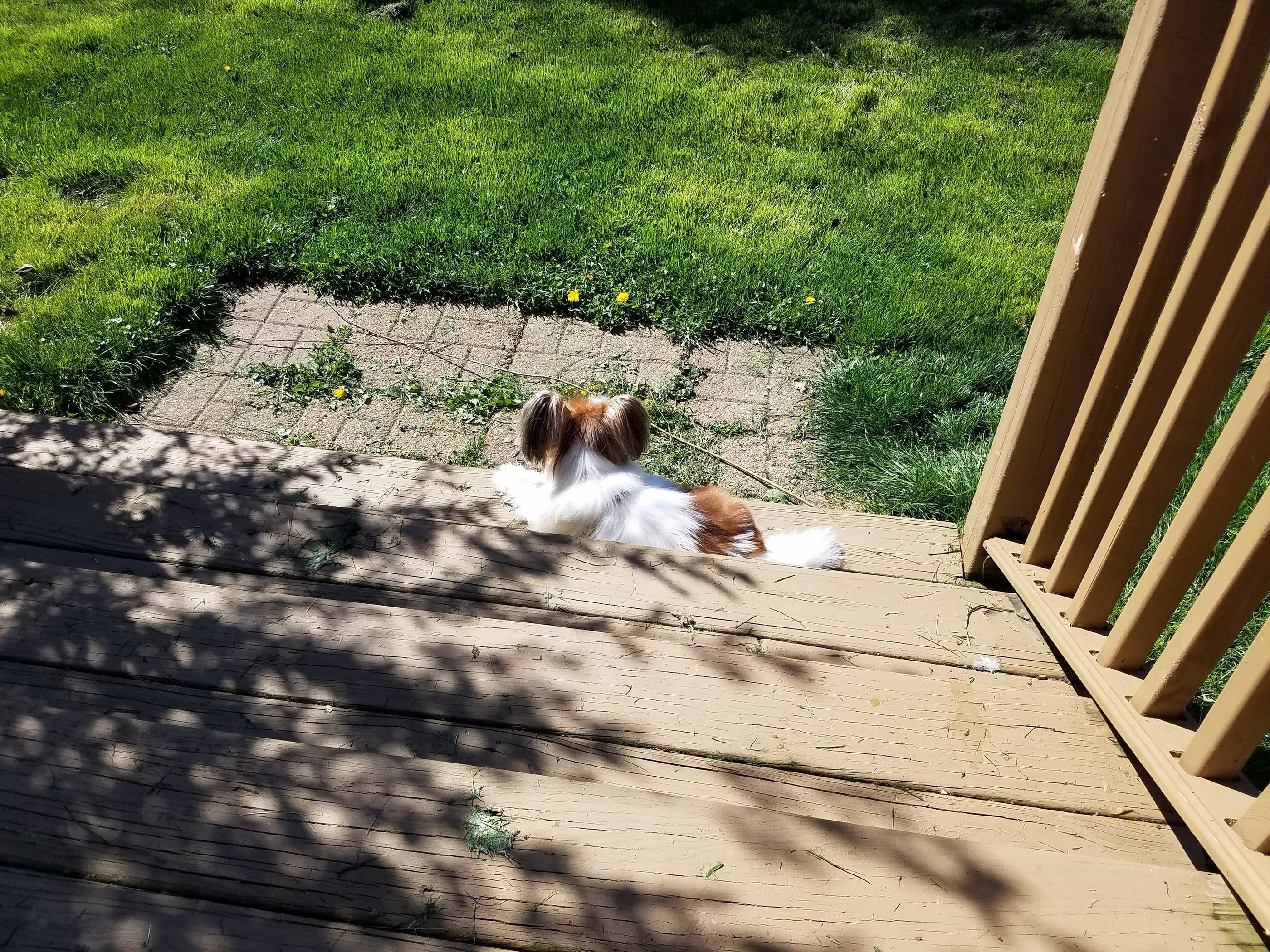 Sonny surveys his huge tracts of land from the deck