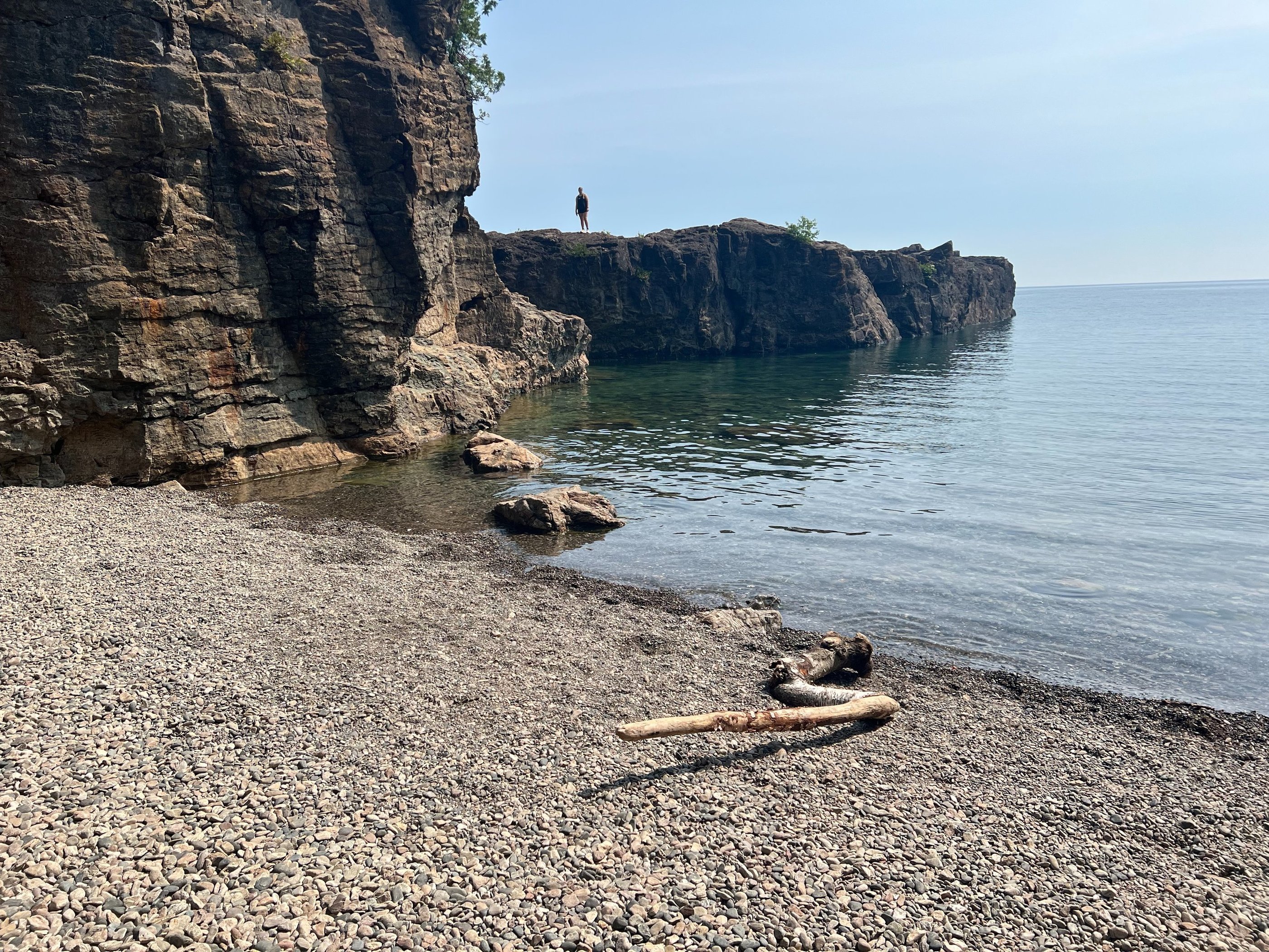 CAR Premium: Strategic creativity and executive functioning drills for an AI-proof career