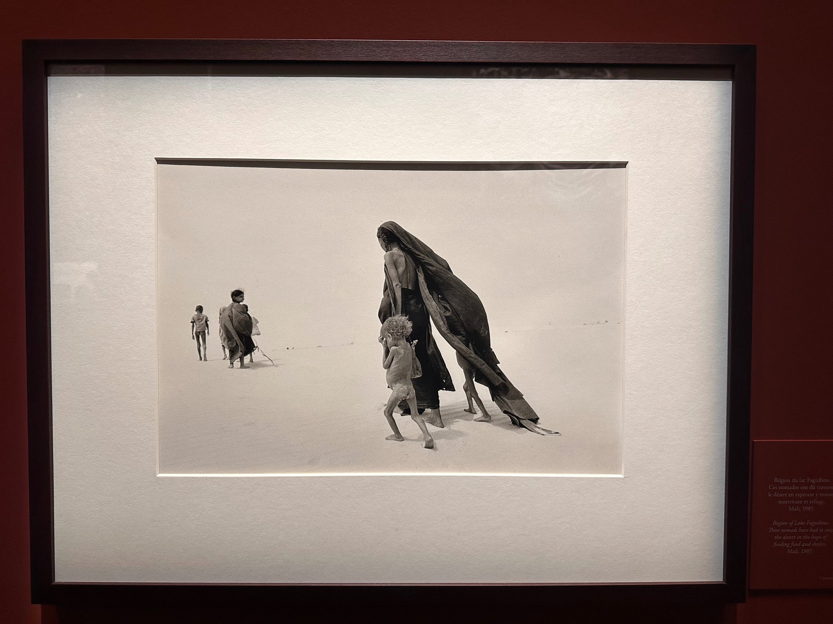 The nomads from the region of Lake Faguibine cross the desert in the hope of finding food, Mali 1985