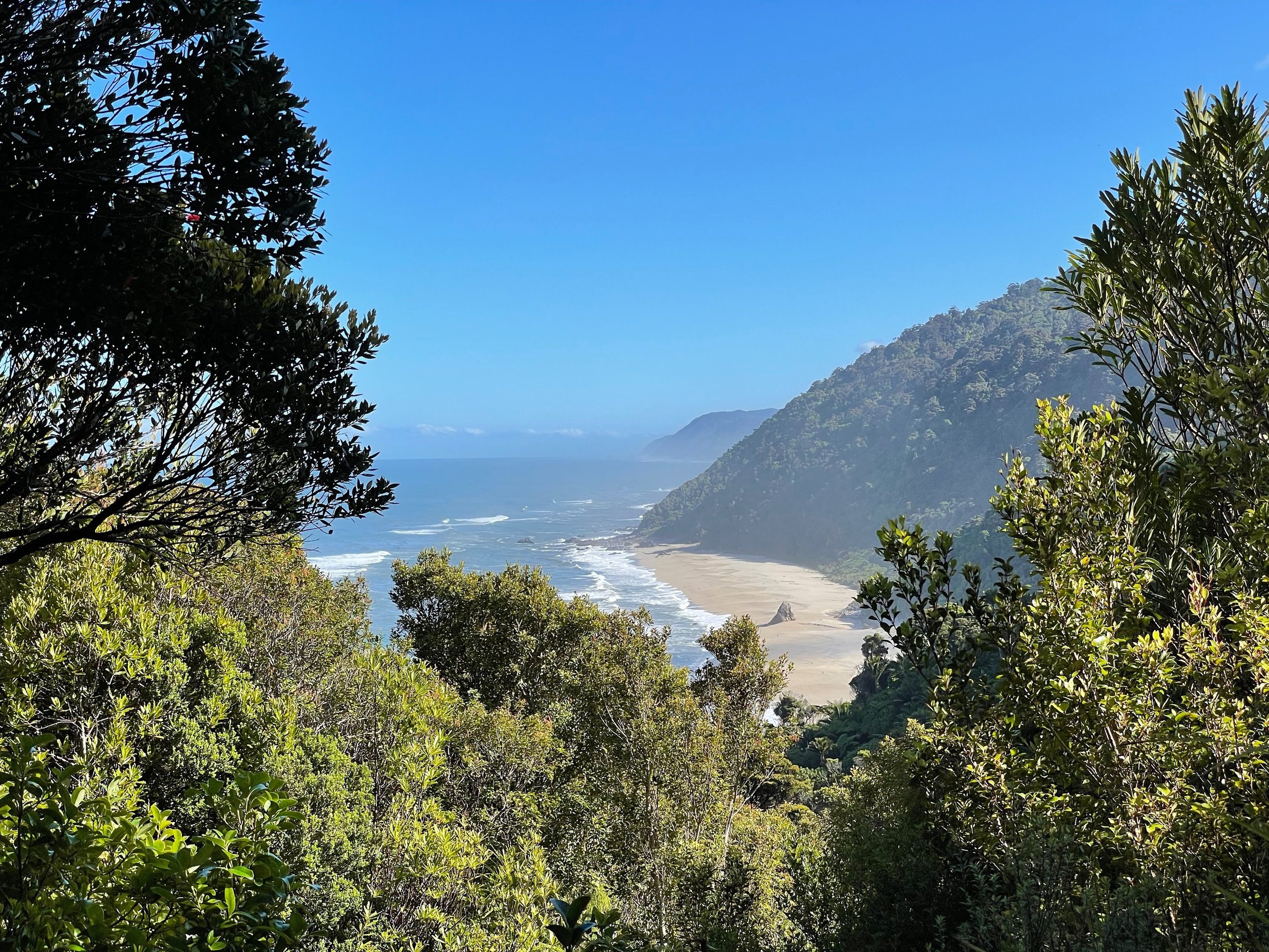 Photo of a hilly coastline, deserted wild beaches into the distance with vegetation in the foregroun