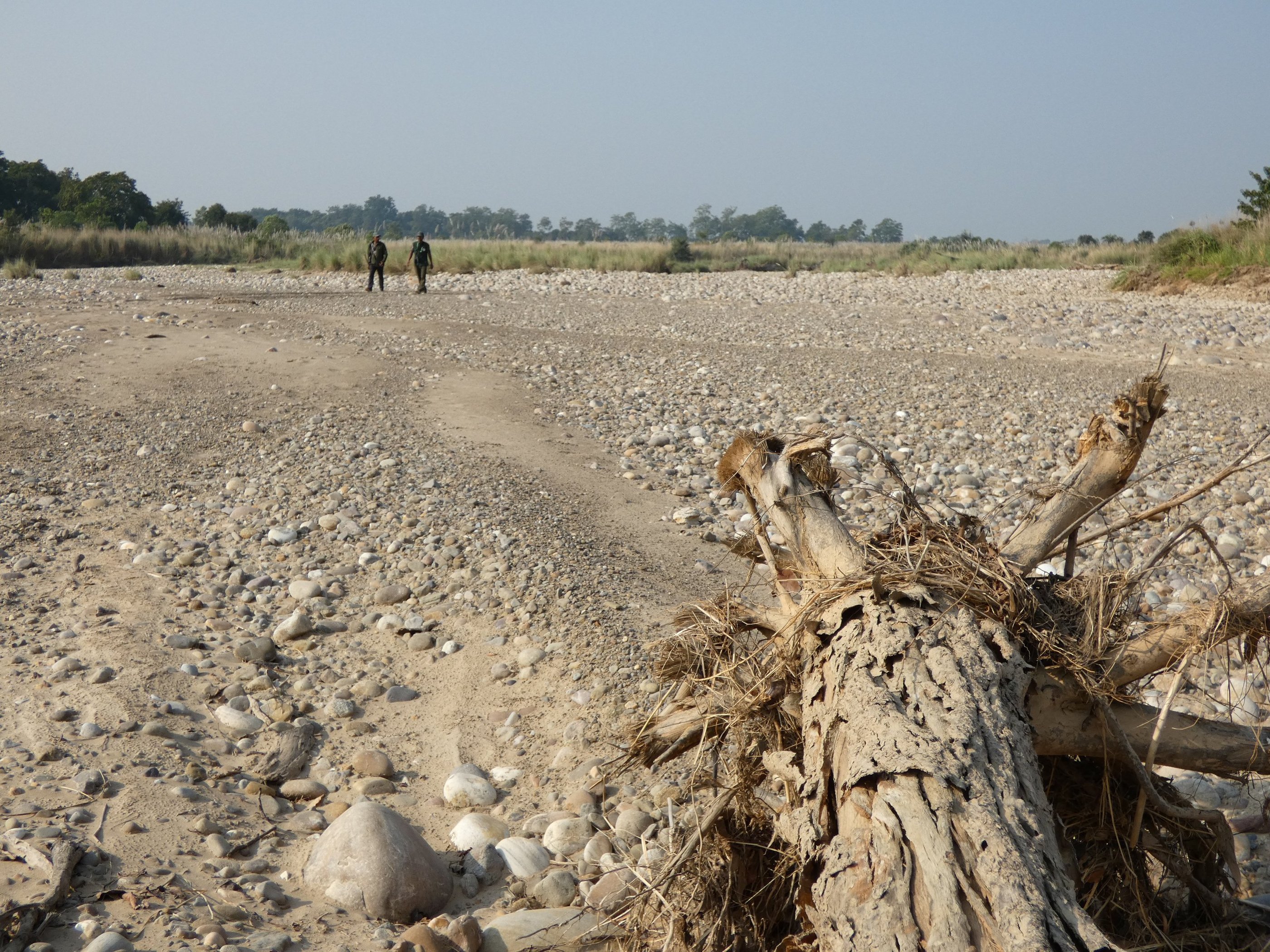 guides scouting the terrain