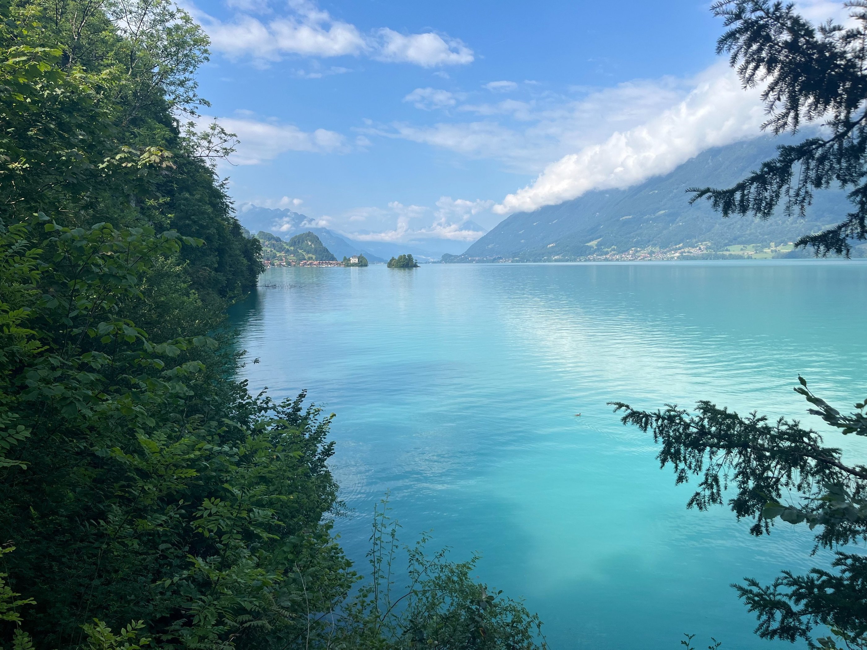 Views of Lake Brienz from the path between Iseltwald and Giessbach