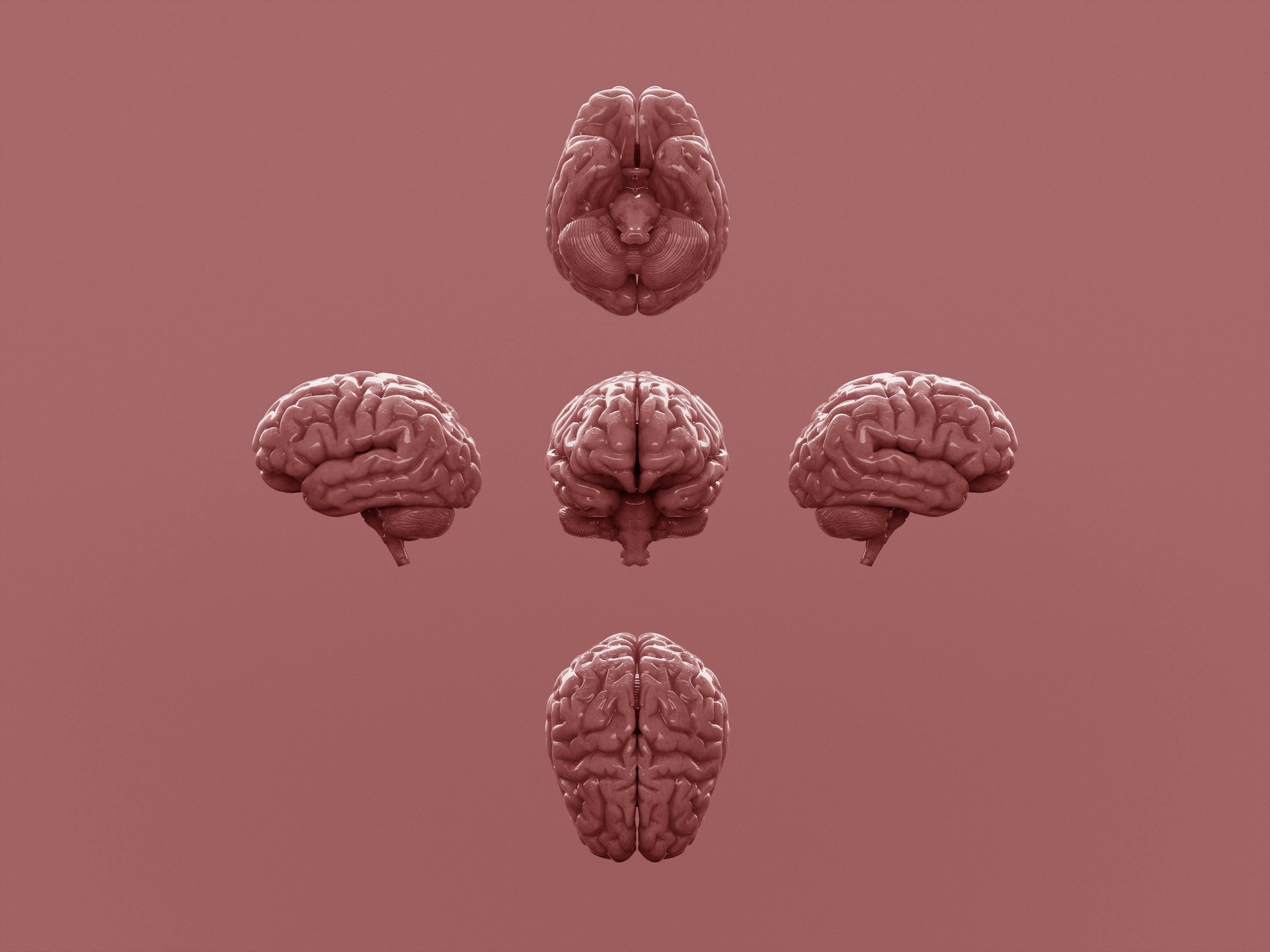 Image credit: Aakash Dhage from Unsplash