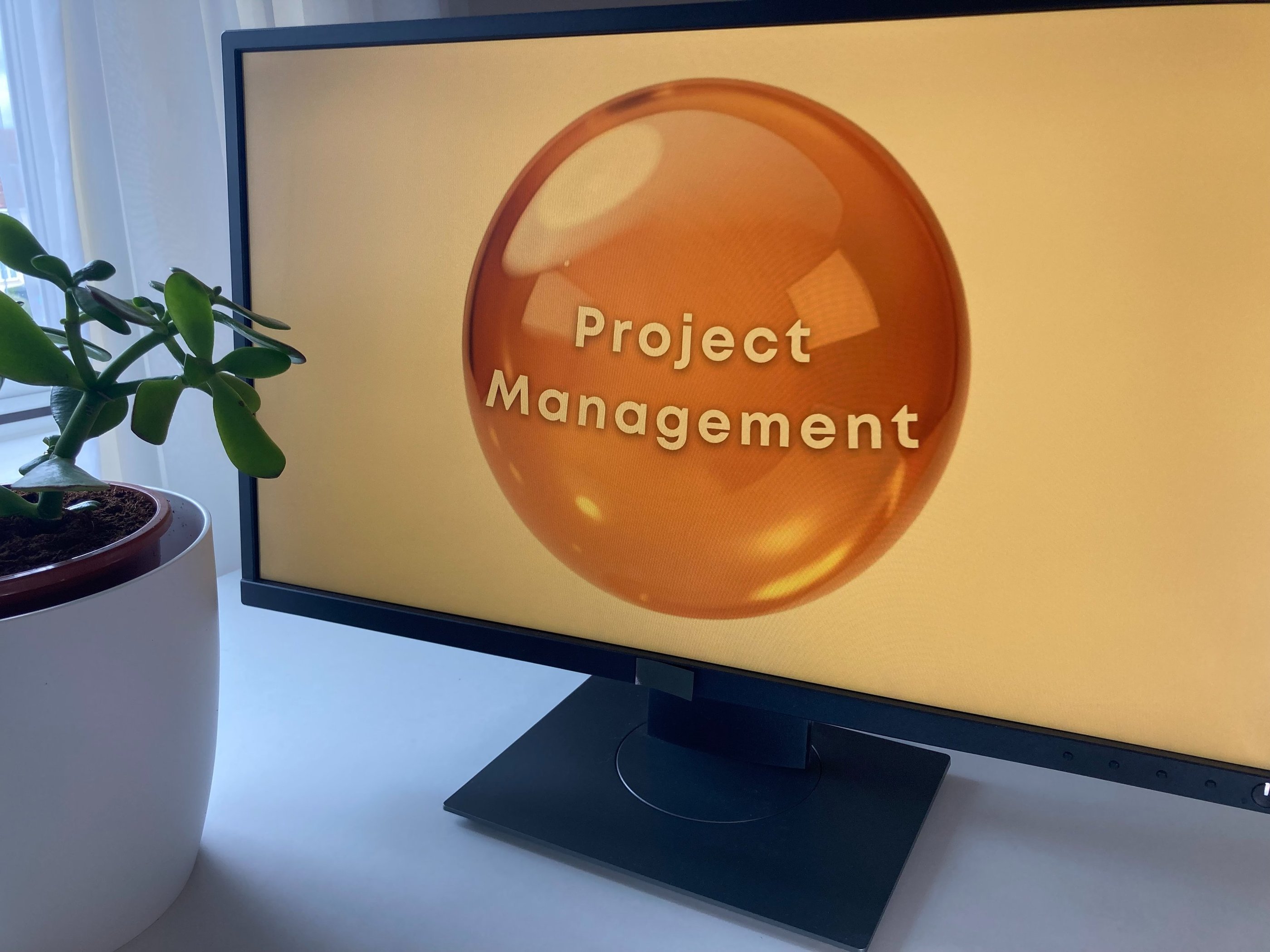 Project management logo on PC monitor plant and curtain