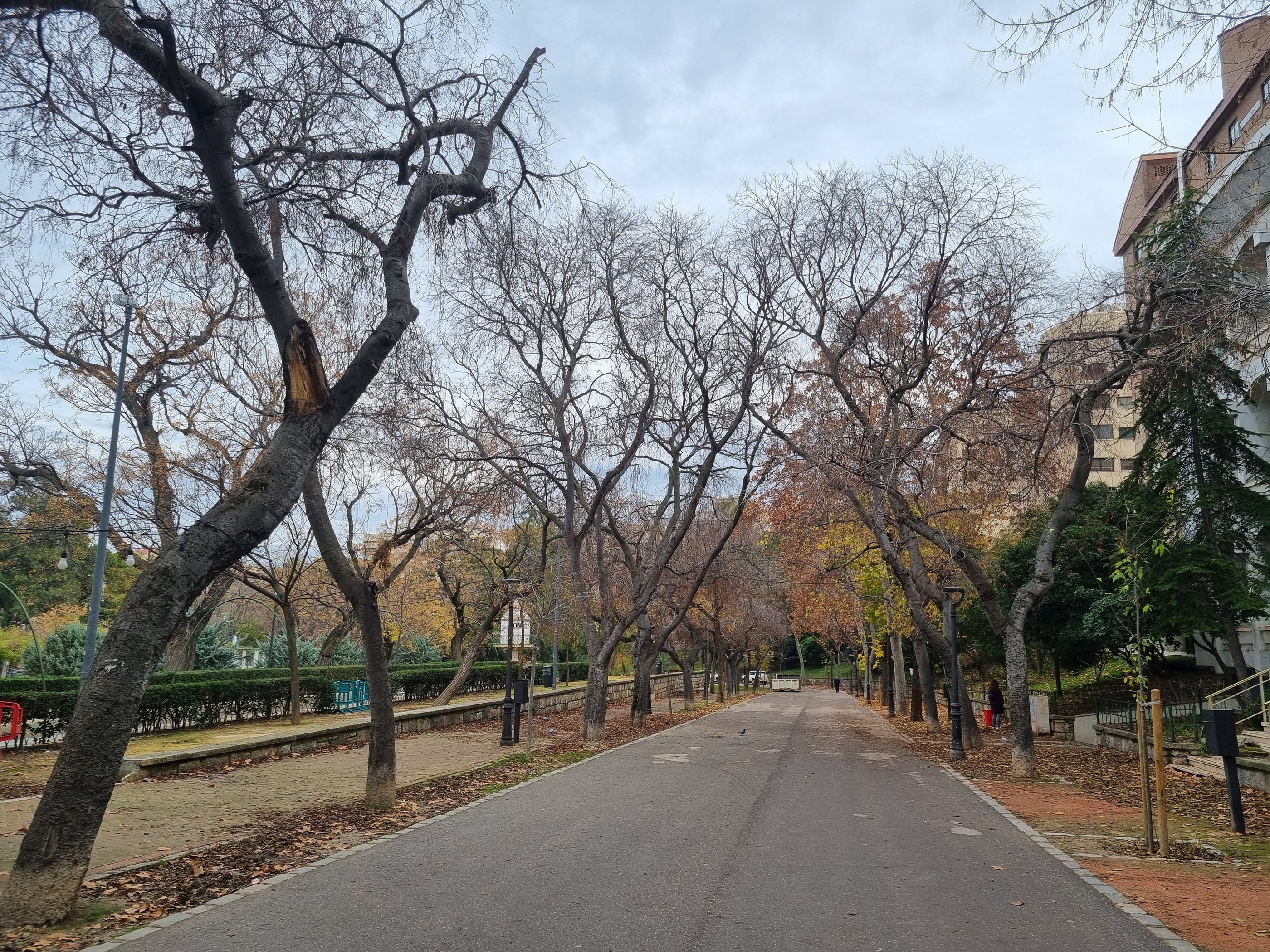 Jaen centro l Asociación de vecinos. Paseo de las Bicicletas en Parque de la Concordia. Victoria