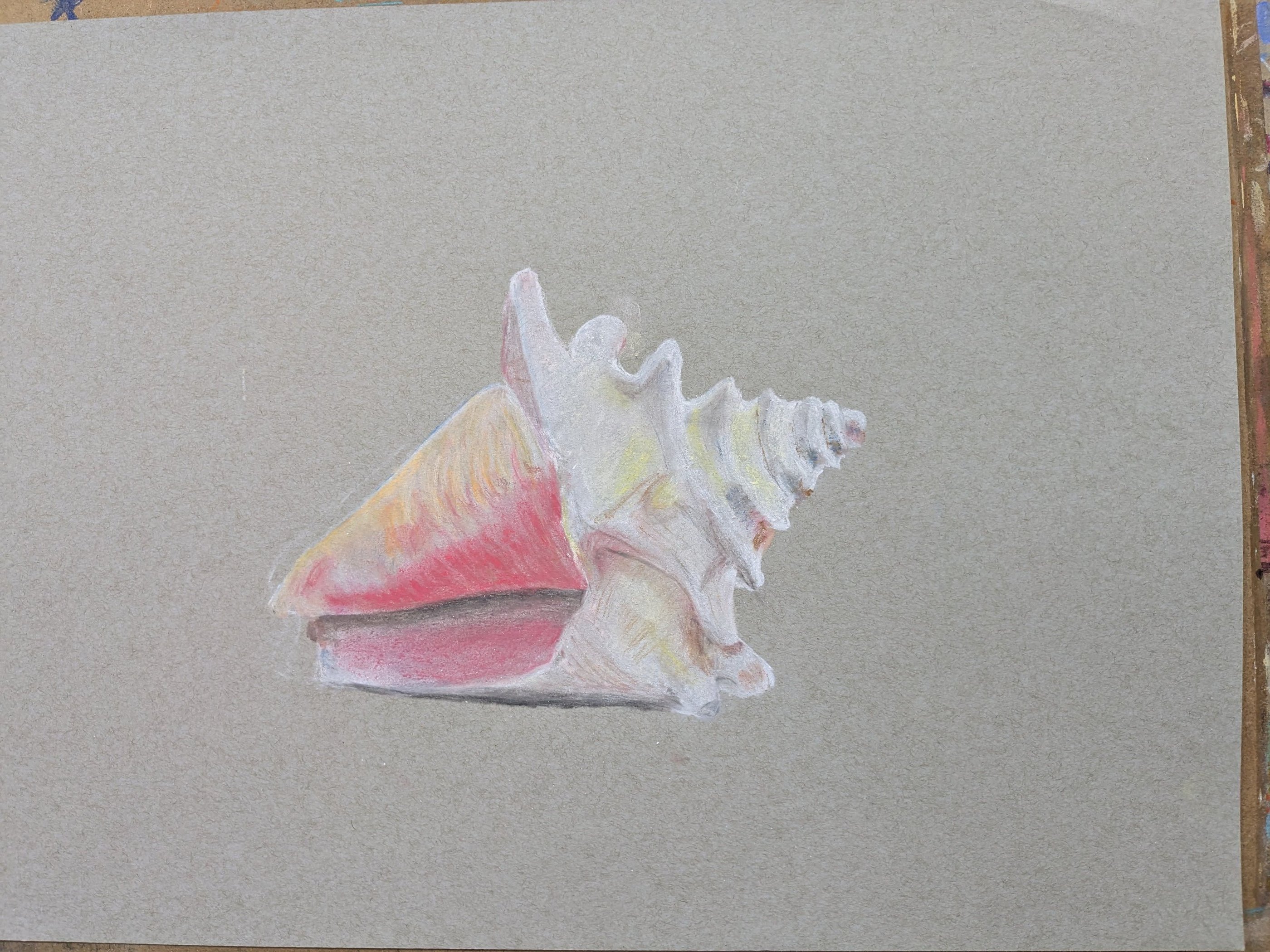 art class pastle drawing of a shell. learn to draw and paint art classes for all abilities MK